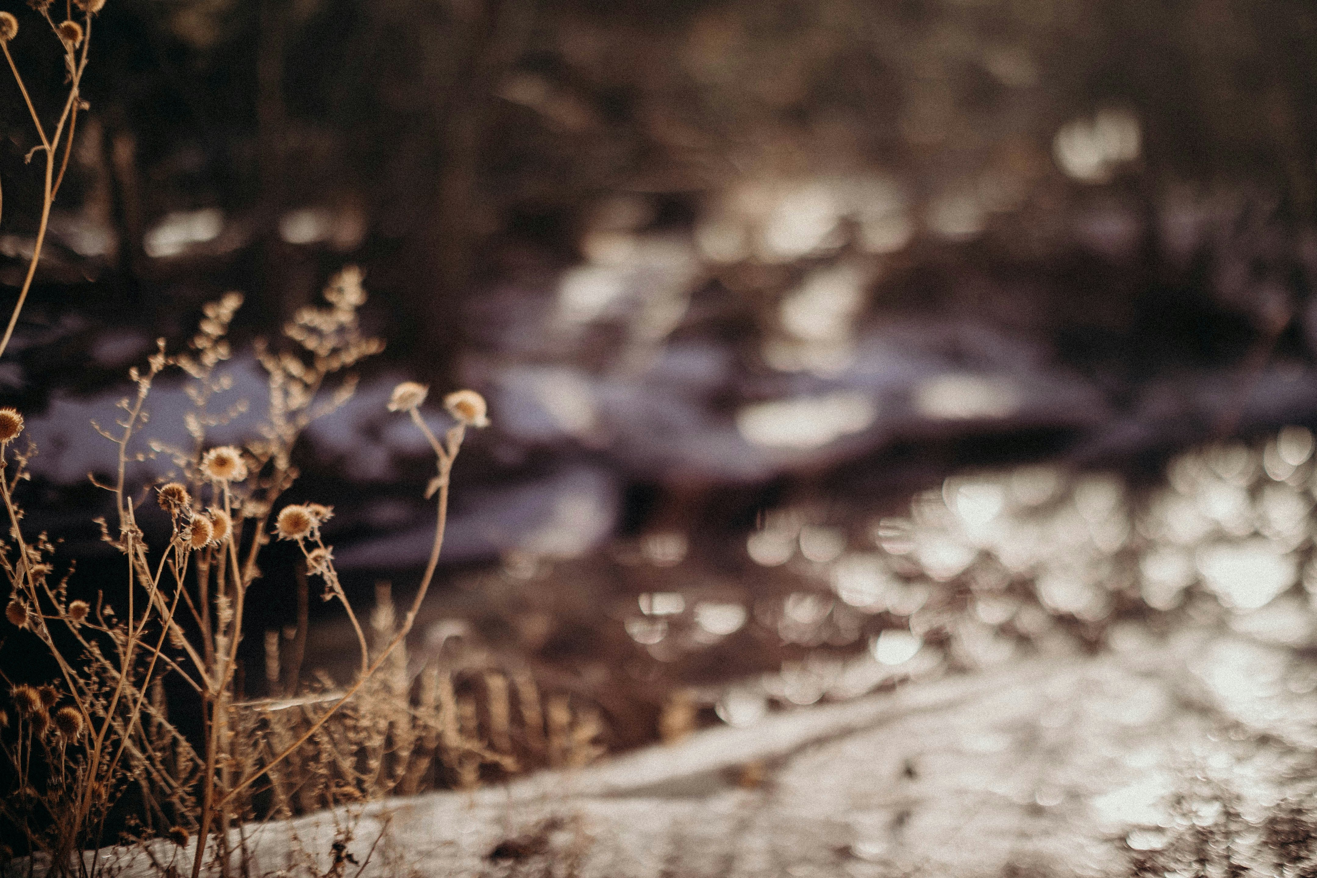 Photo by alliejanell