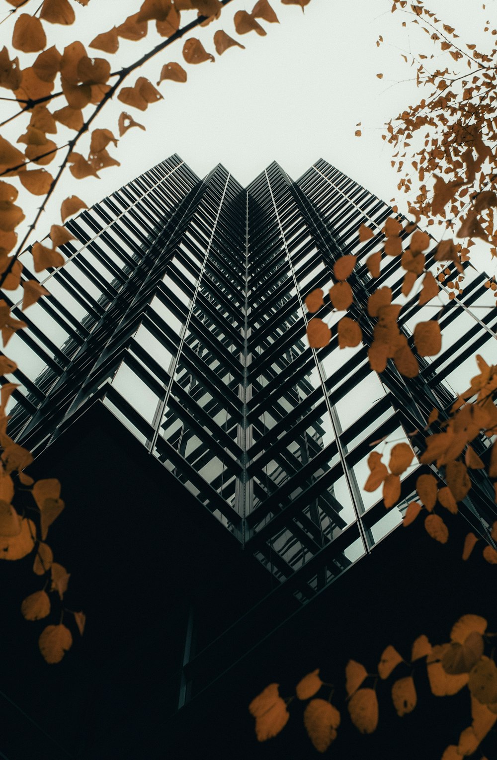 looking up at a tall building from below