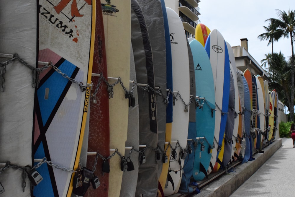 a row of surfboards sitting next to each other