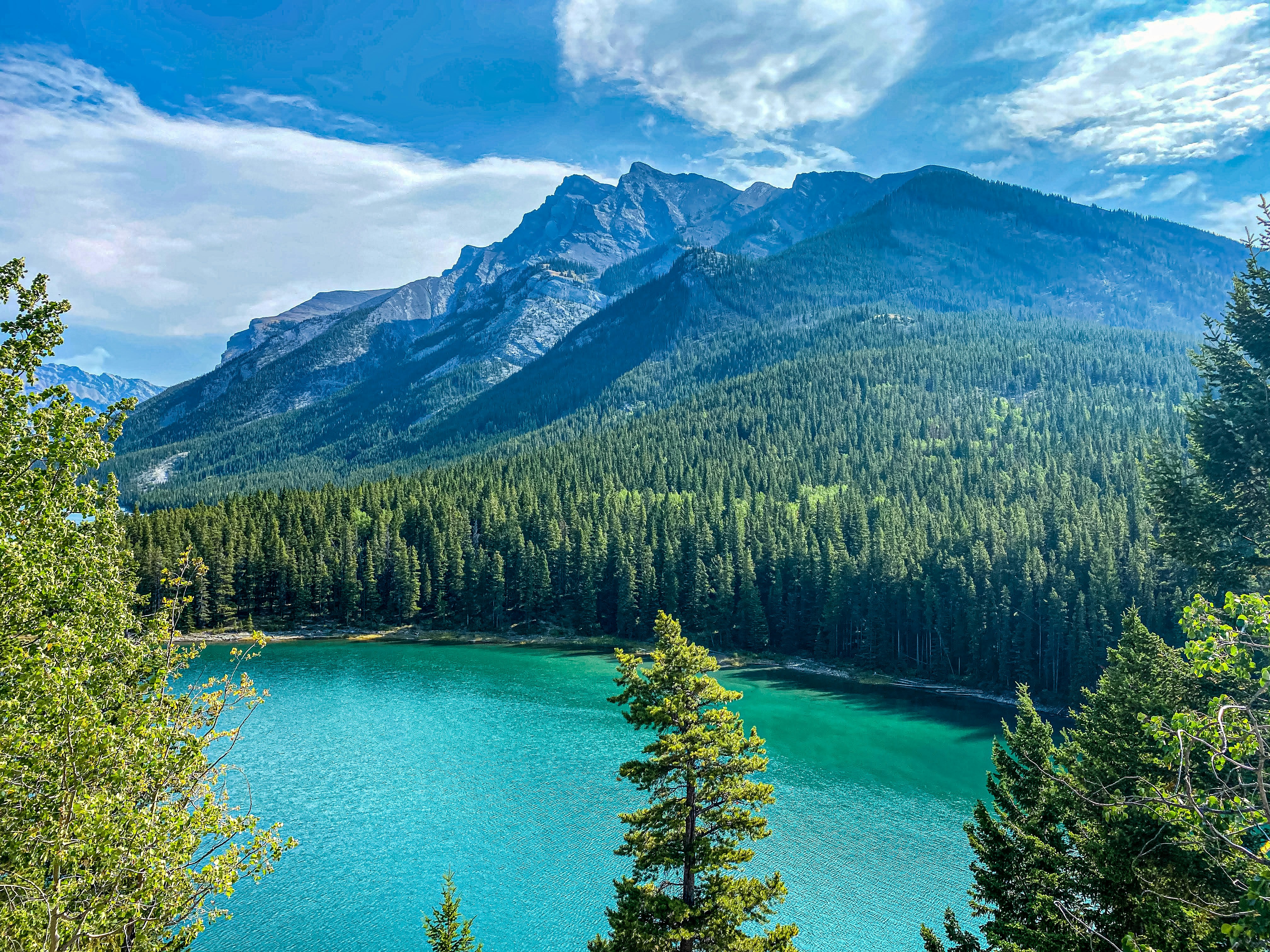 Photo by henriquepaim