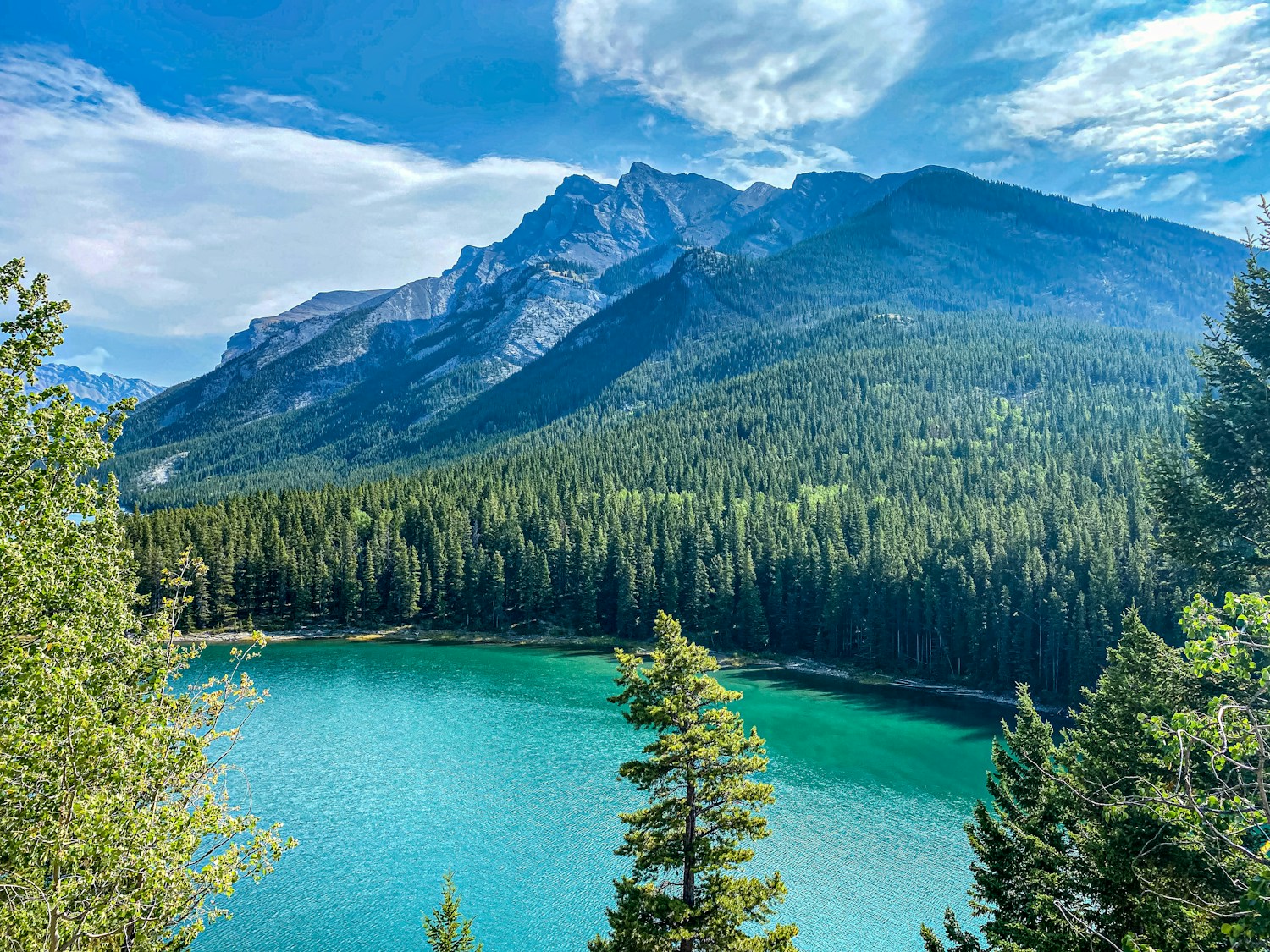 Victoria BC Skyline at Twilight