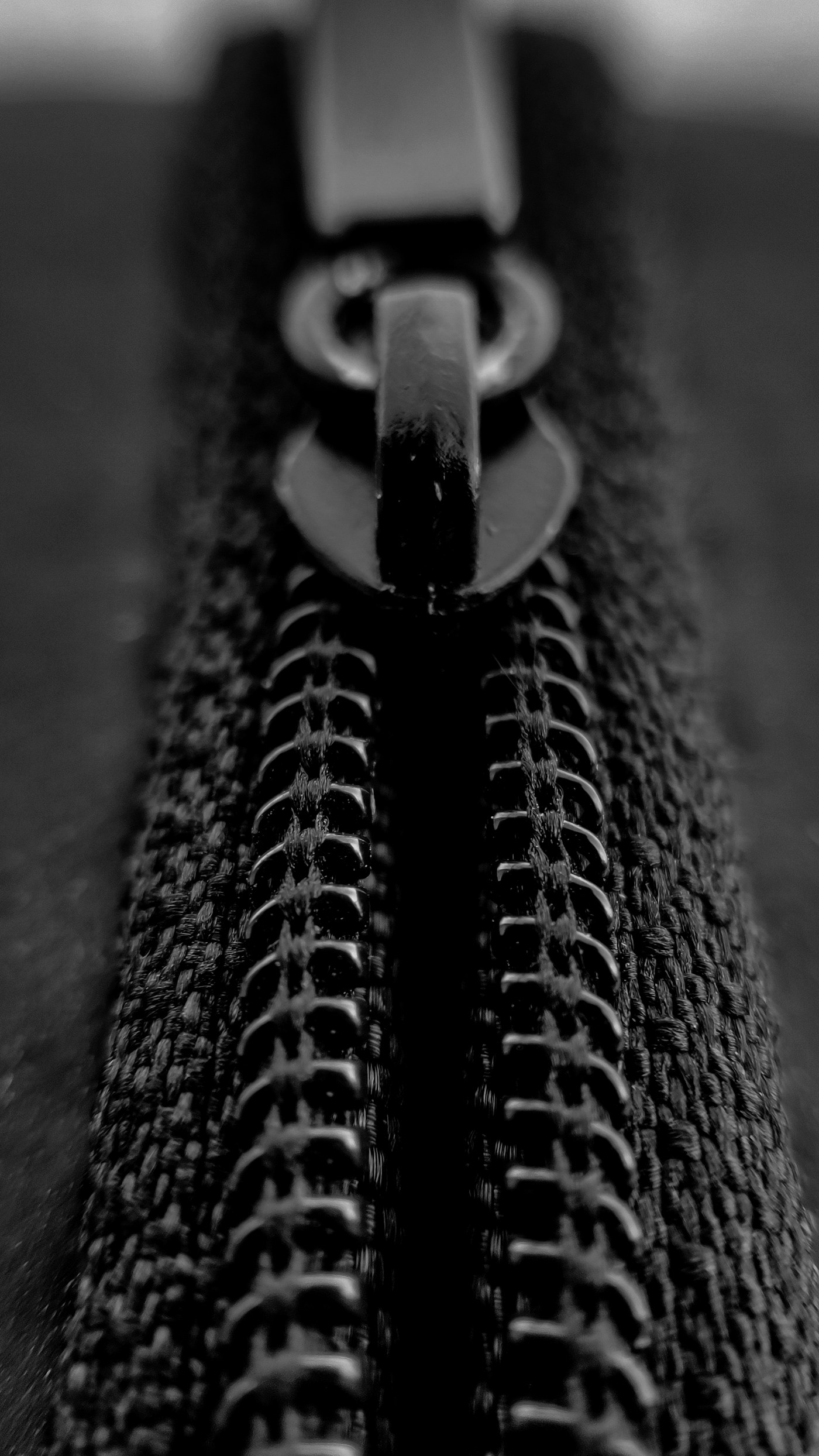 Close view of black zip teeth and heavyweight knit