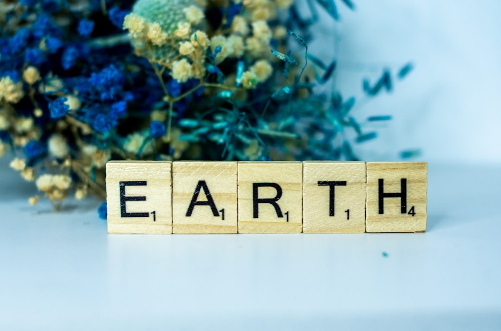 a wooden block spelling earth with flowers in the background