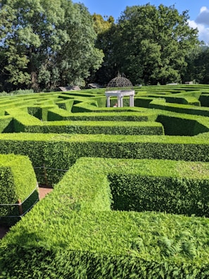 a large maze with a gazebo in the middle of it