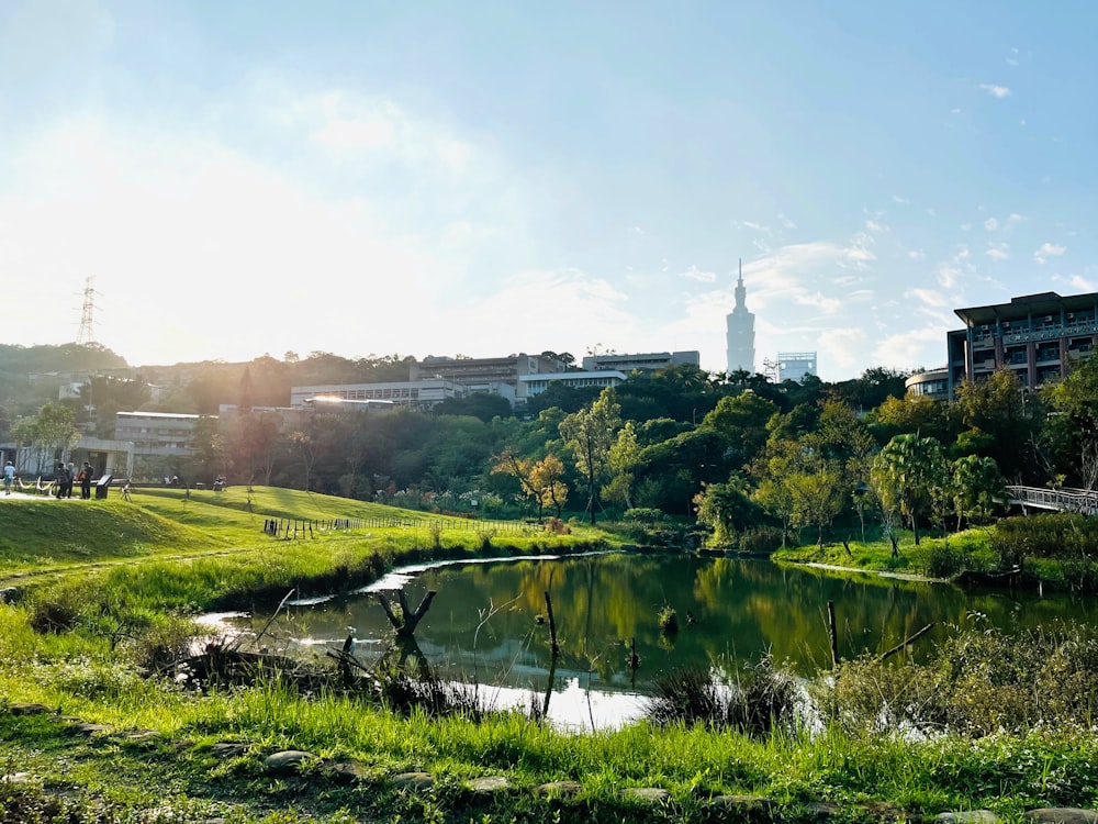 ein kleiner See, umgeben von saftig grünem Gras