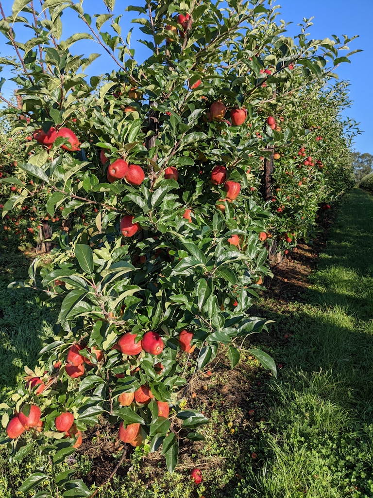 Horticulture News Bundle