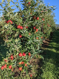 Horticulture News Bundle
