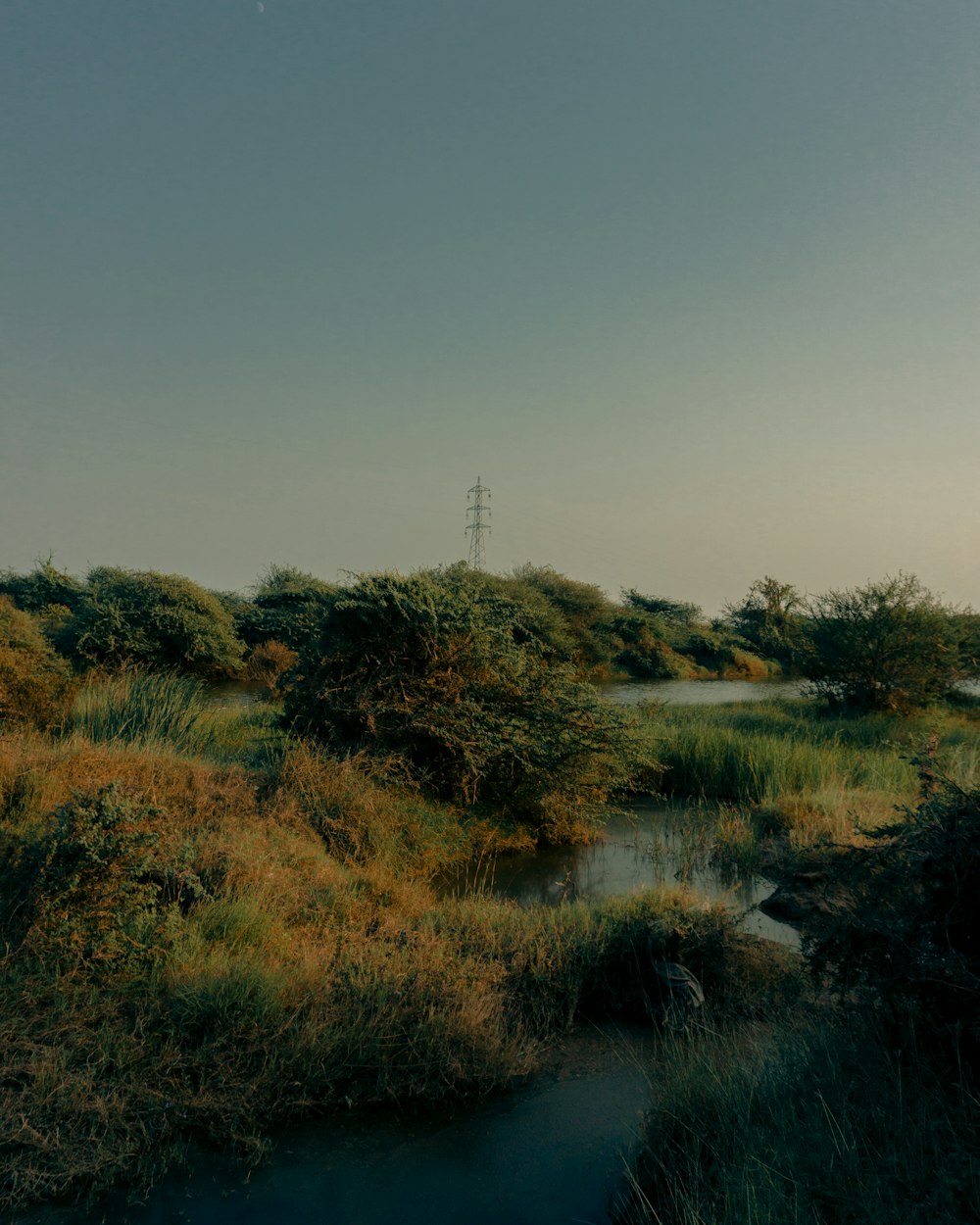 a small stream running through a lush green field