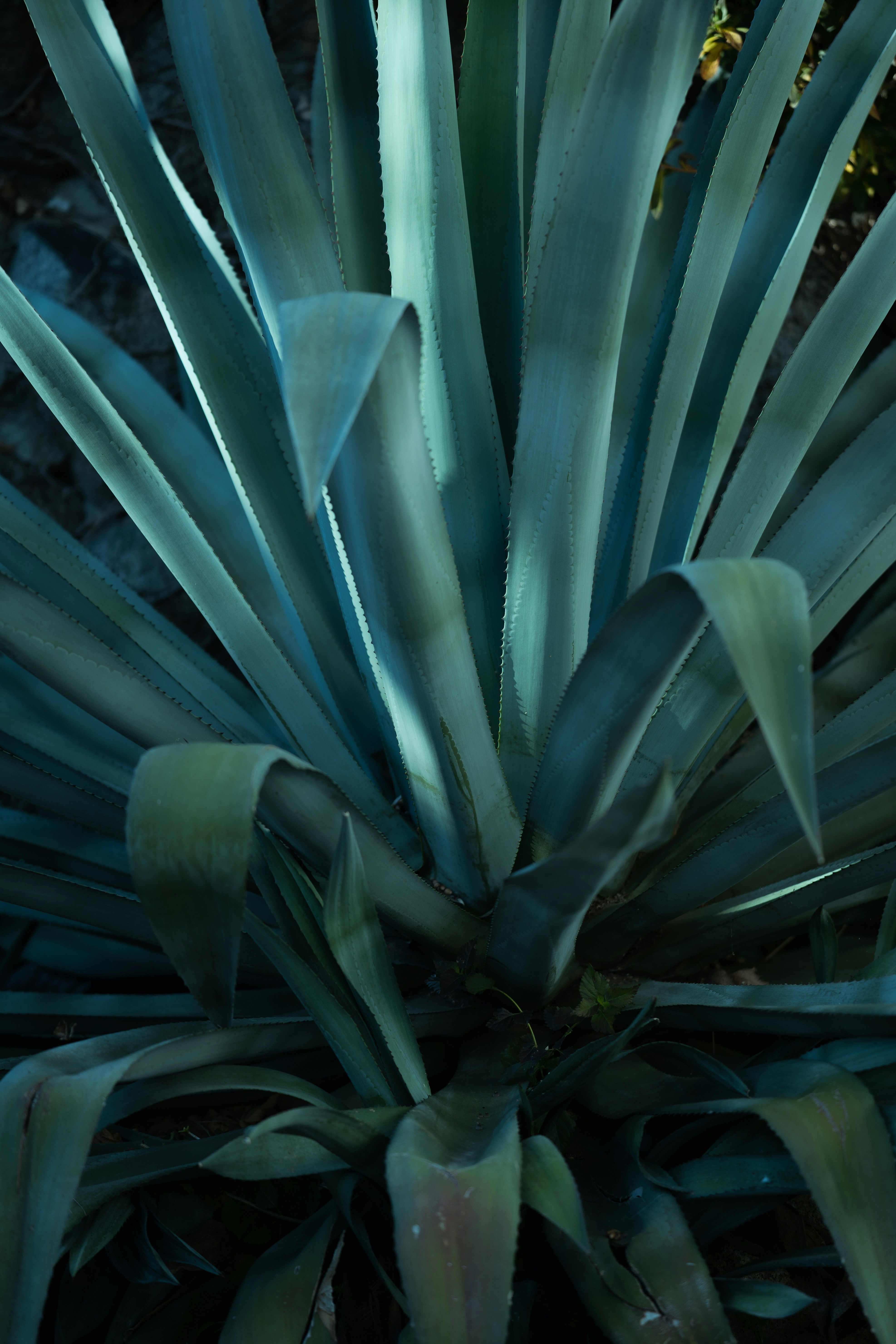 Photo by milestogobeforeisleep