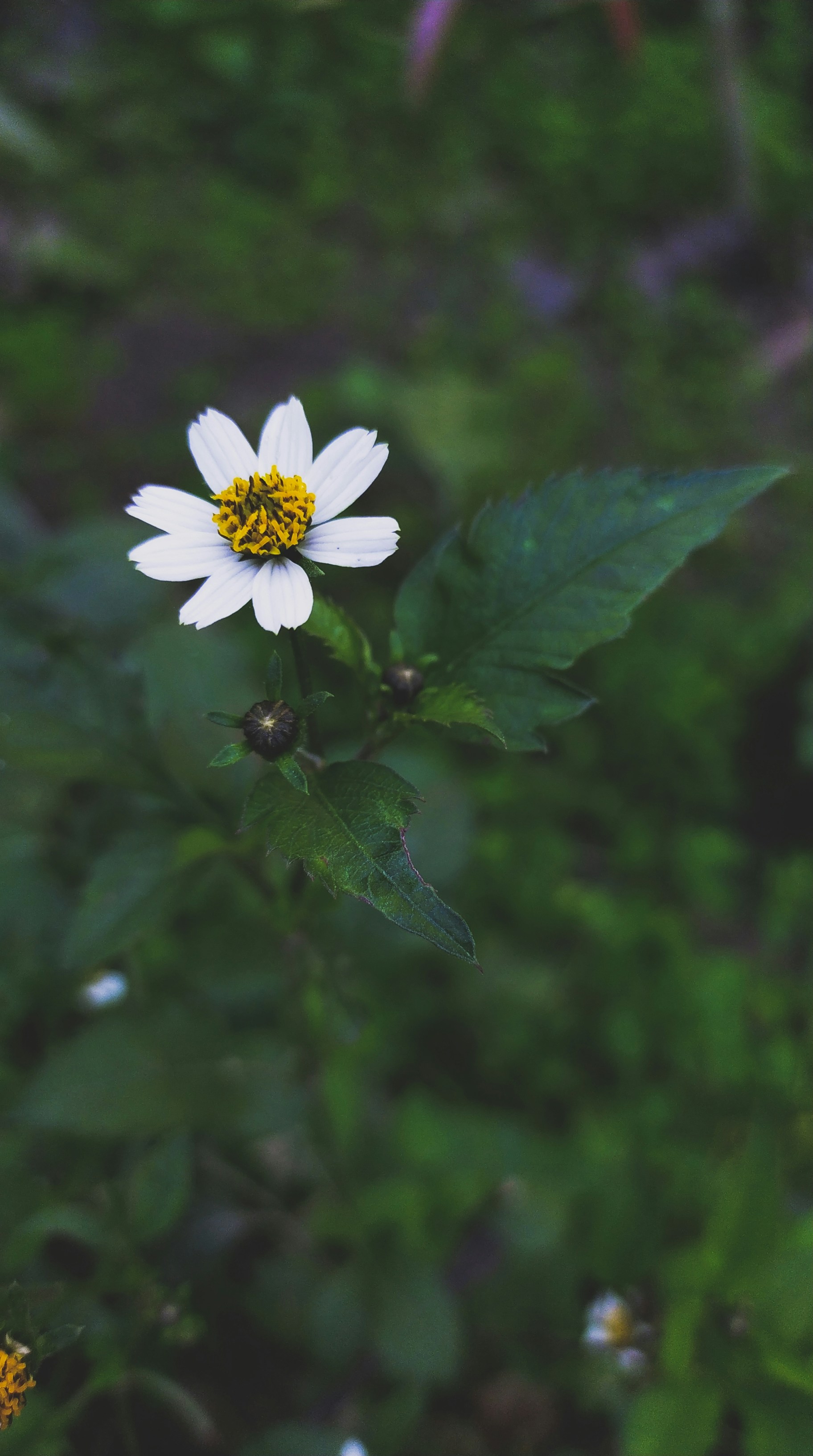 Photo by dhls_cam_ind