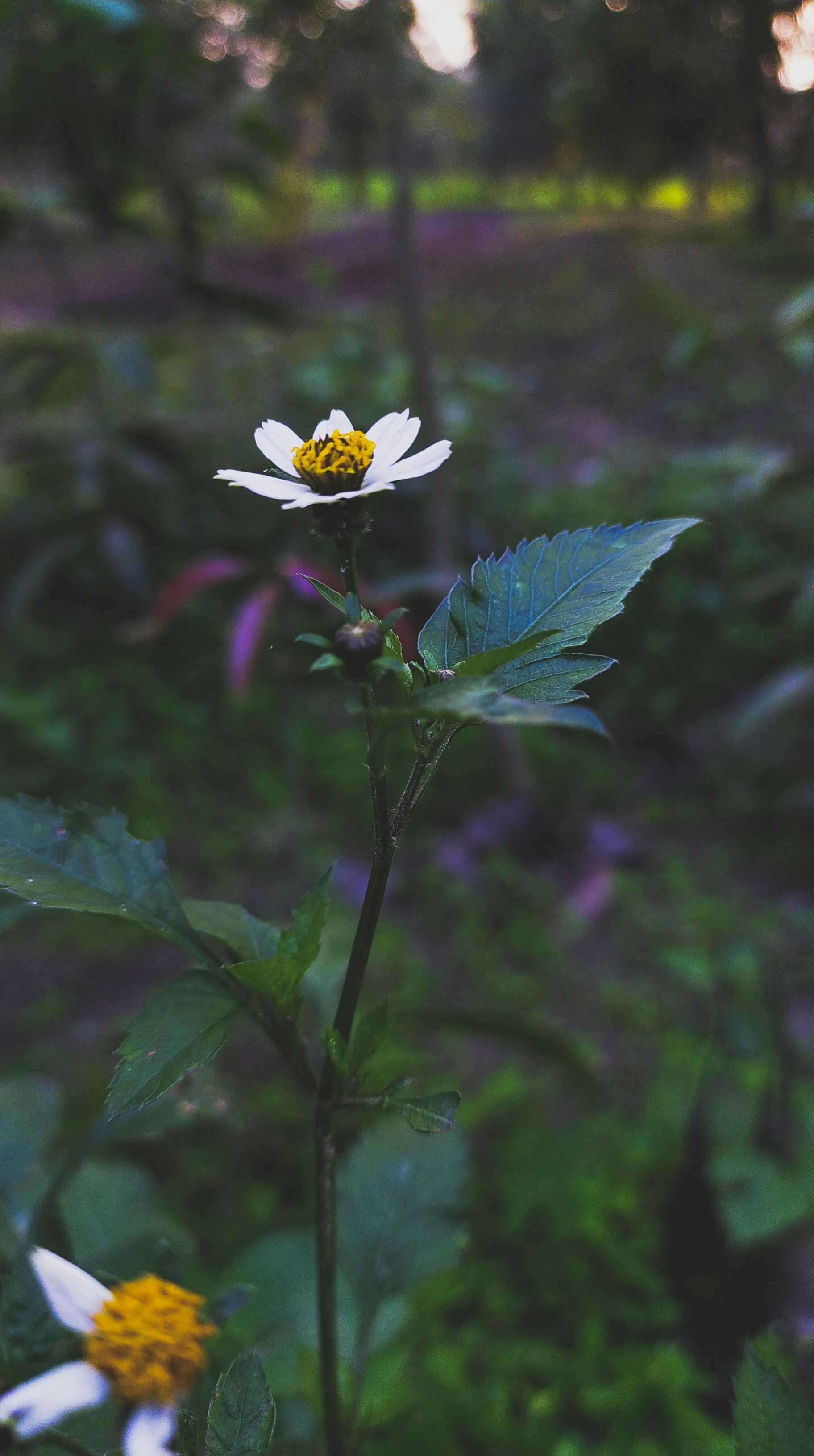 Photo by dhls_cam_ind