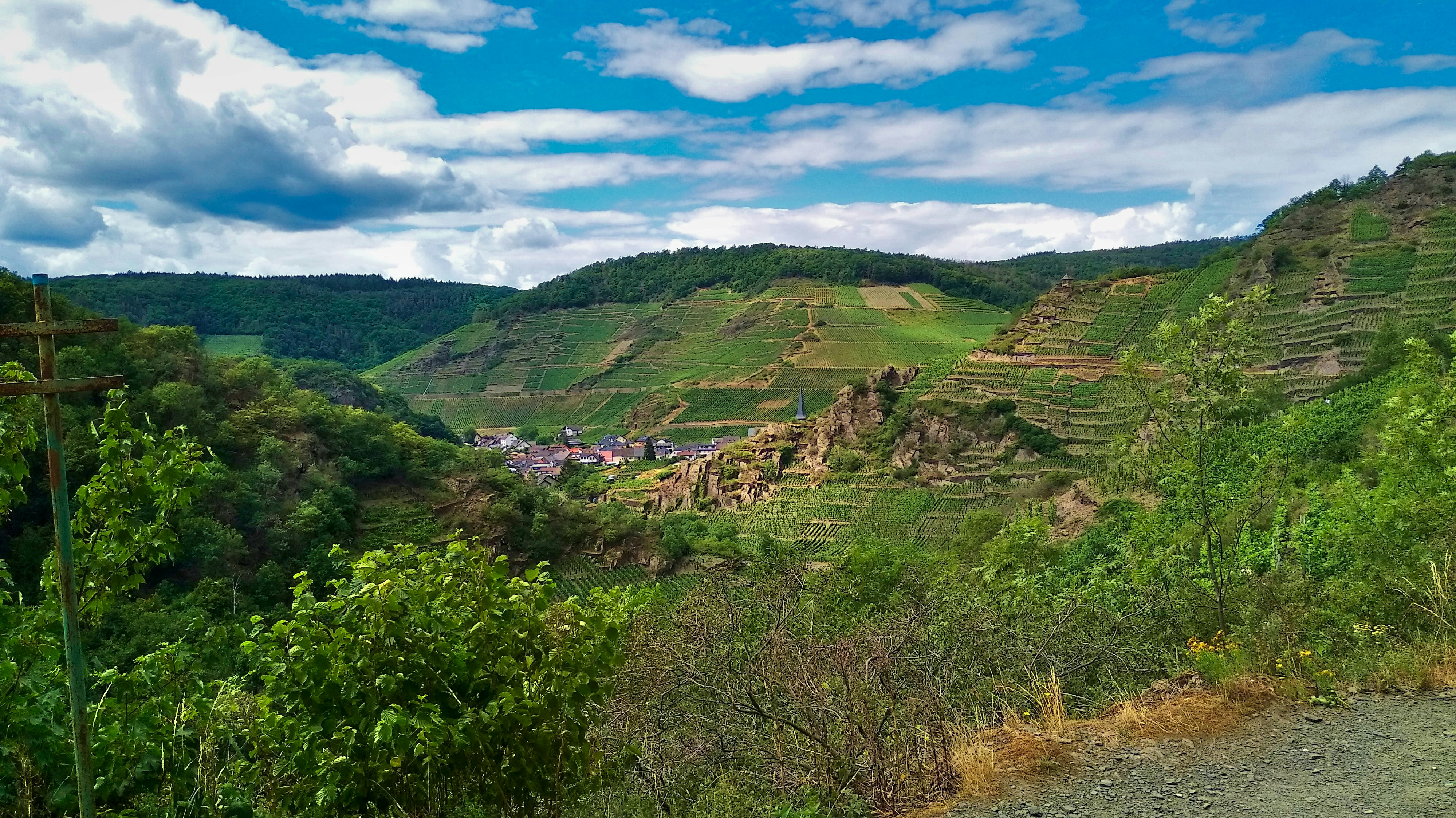 🏆 숨겨왔던 나의 챔피언 DNA, 대회 수상 비법 대방출! 🥇