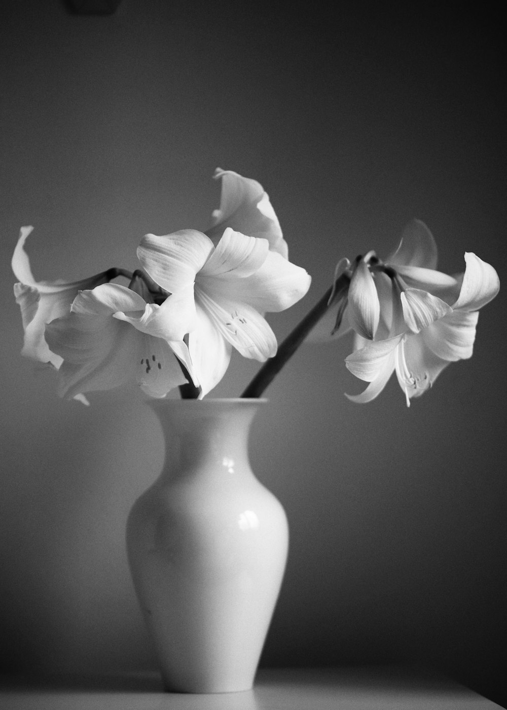 a white vase filled with white flowers on top of a table