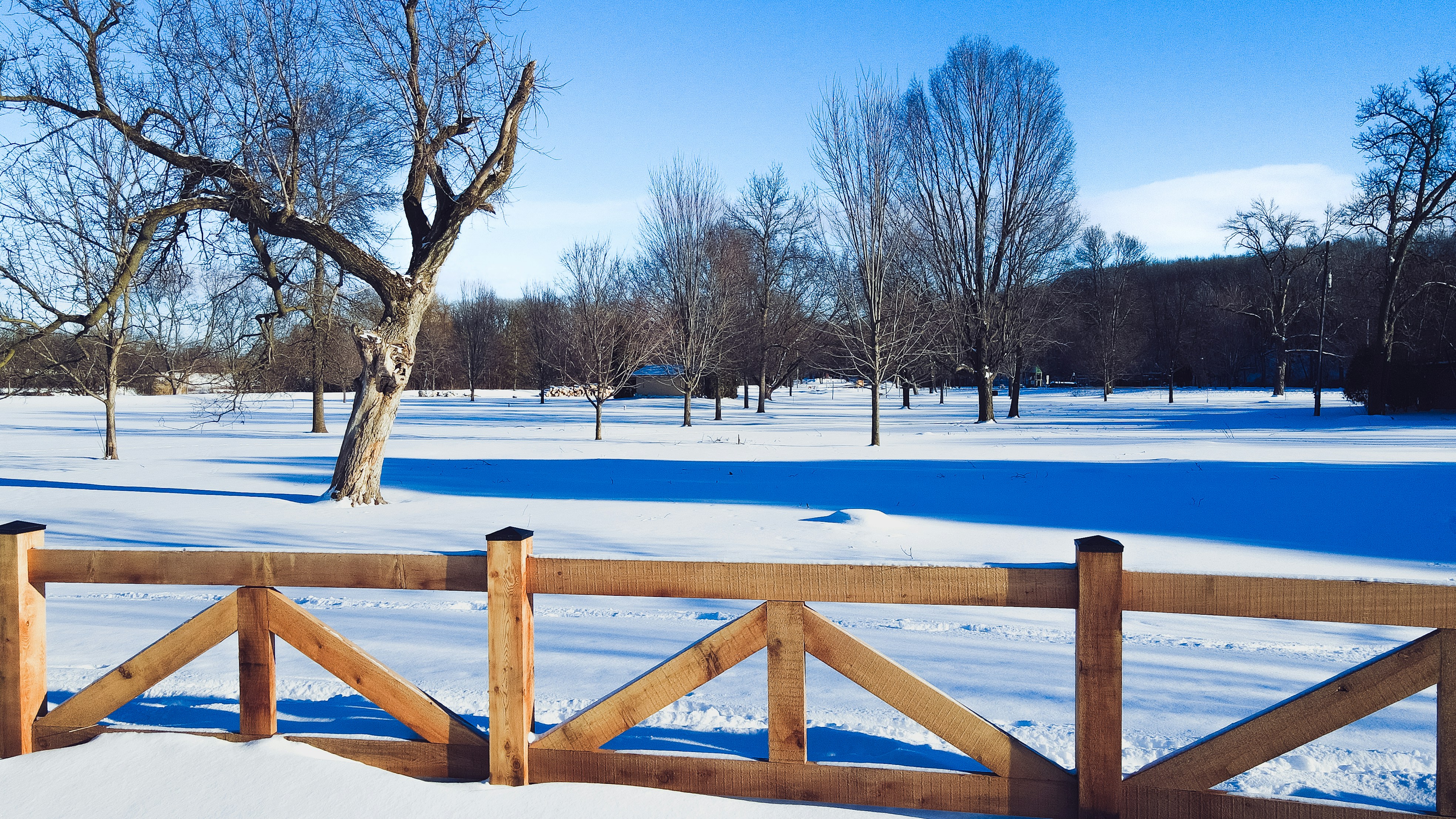 a snowy field with a fence and a tree