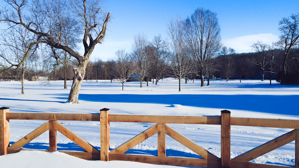 a snowy field with a fence and a tree