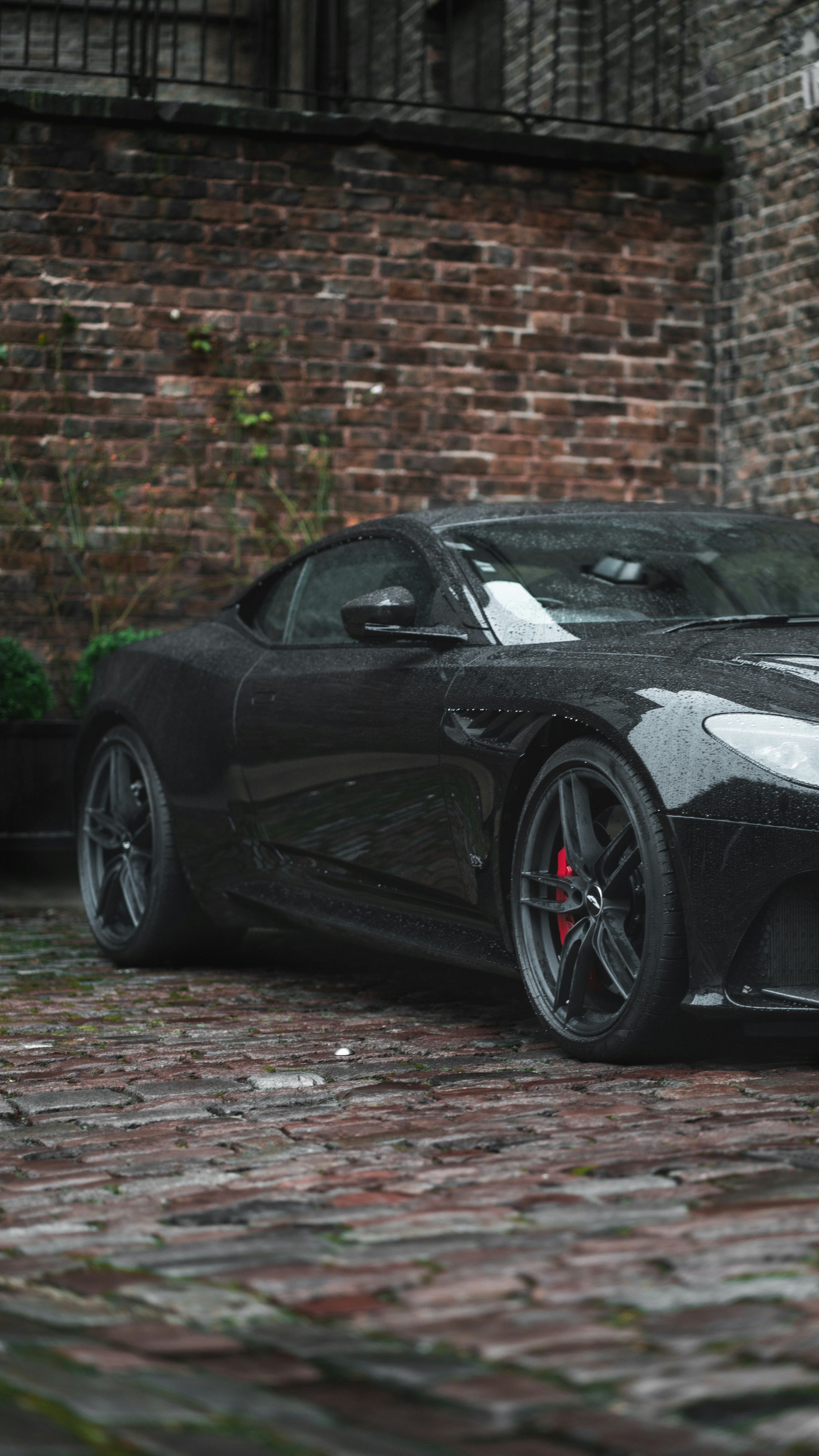 Photo by orangetiephotography