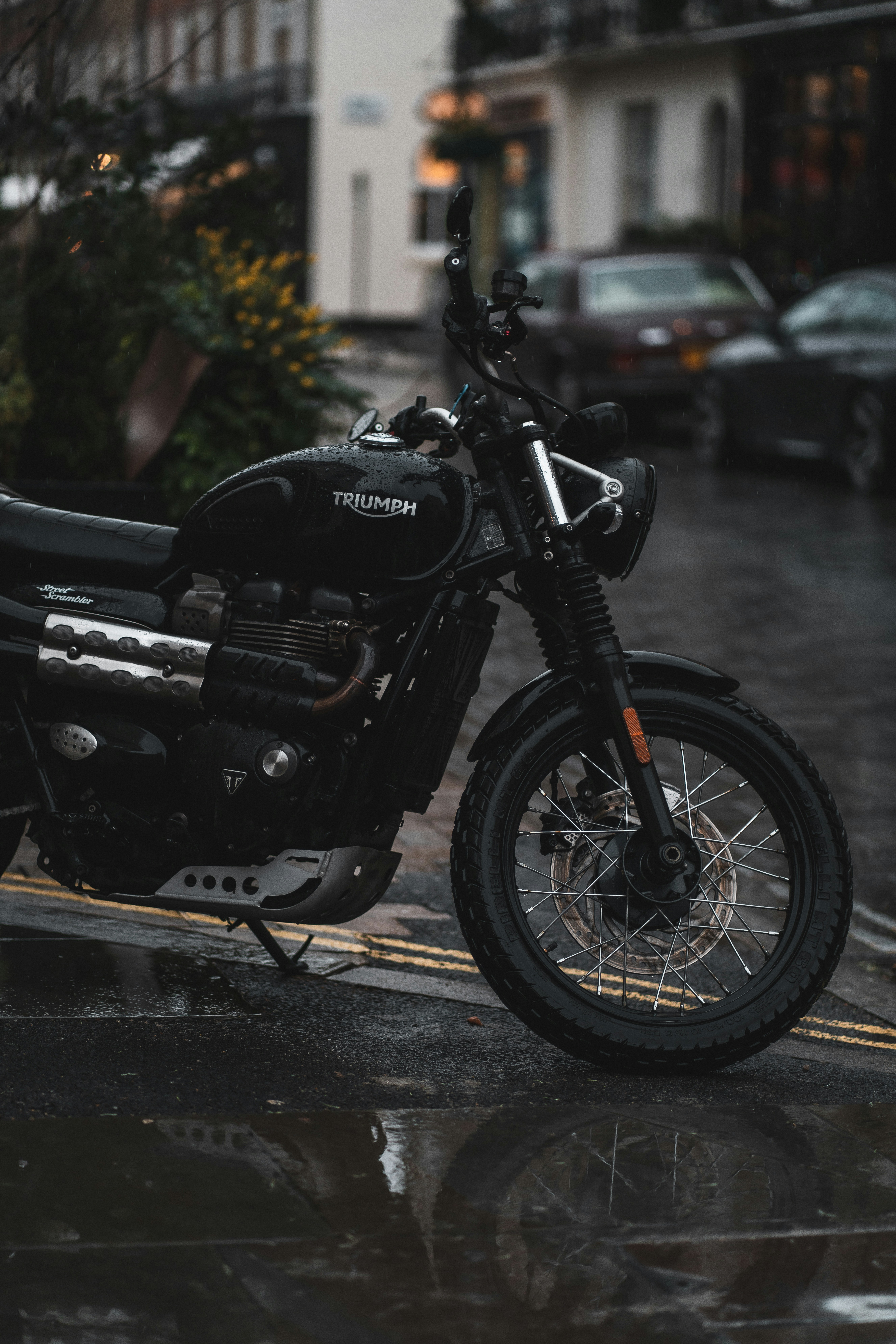 Photo by orangetiephotography