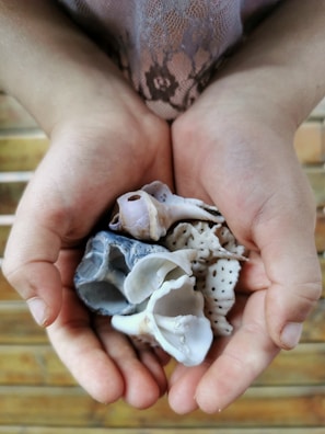 Hands holding colorful búzios shells with a blurred mystical background.