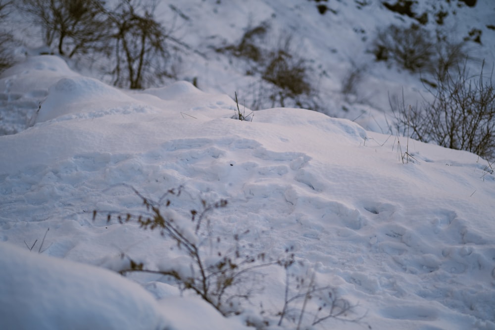 une personne qui fait de la planche à neige sur une pente enneigée