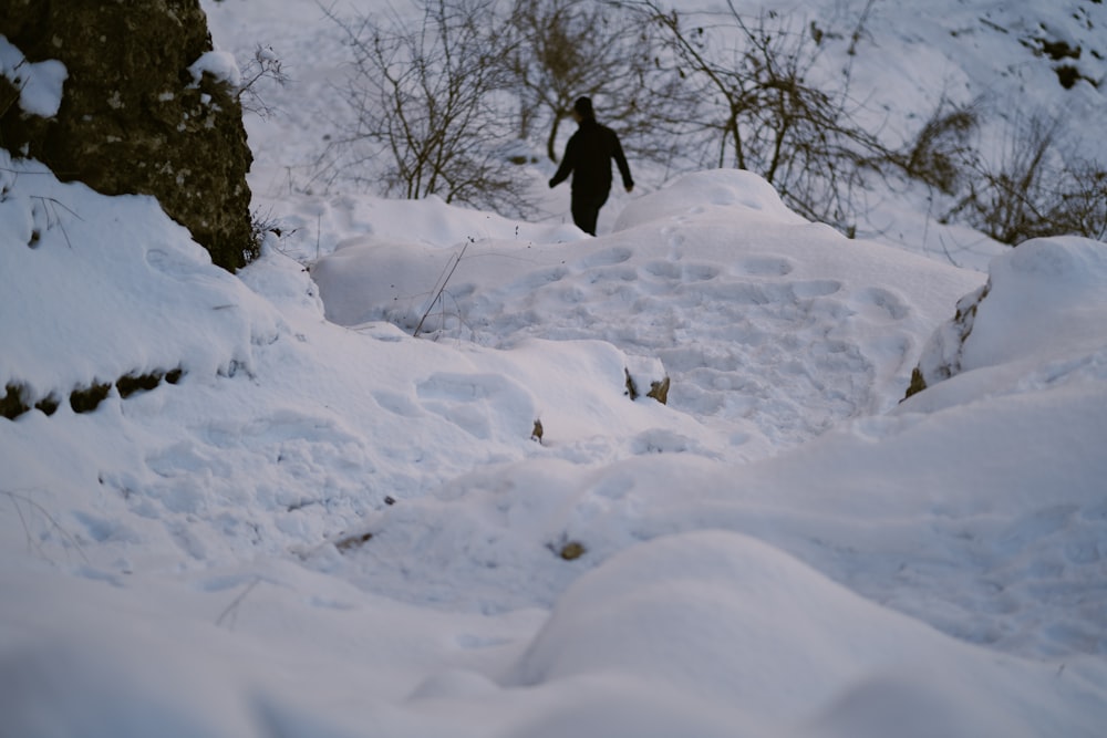 a person walking through the snow in the woods
