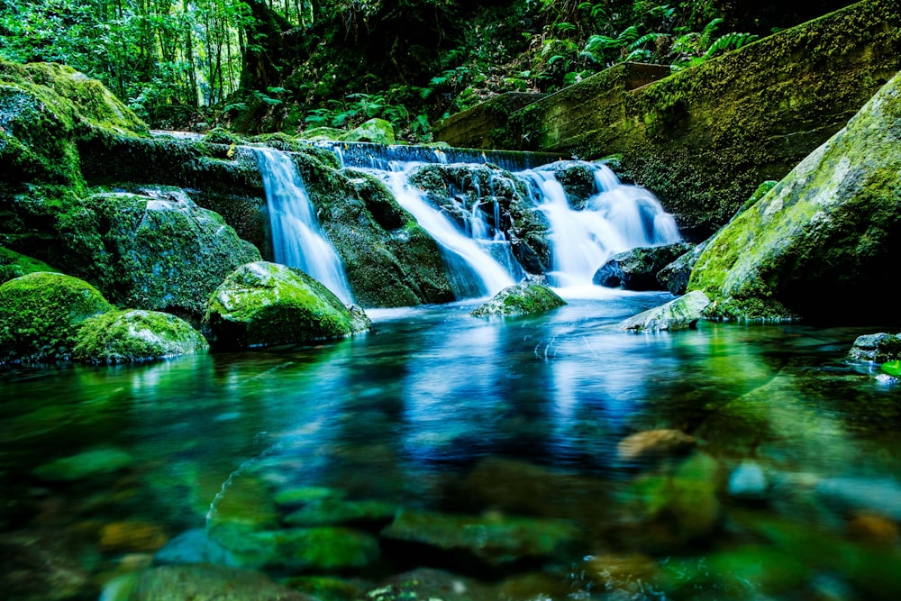 a small waterfall in the middle of a forest