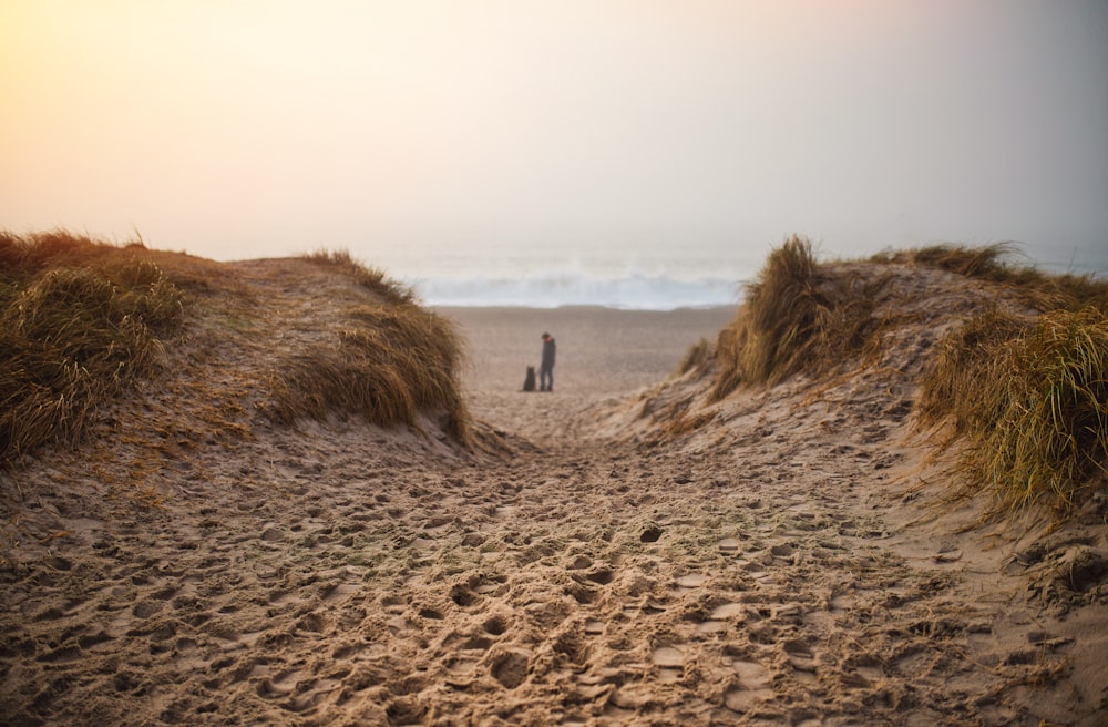 a couple of people standing on top of a sandy beach