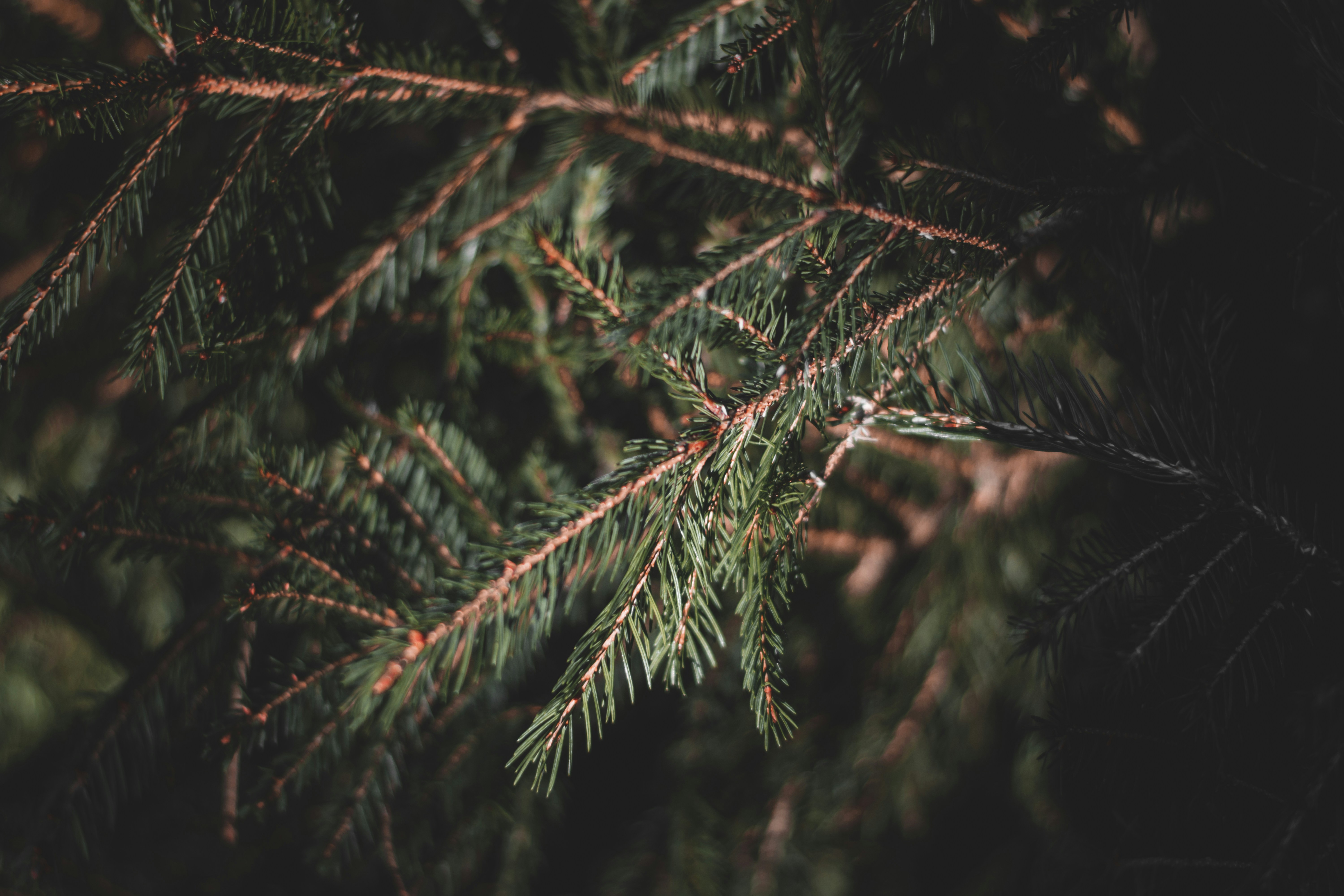 Photo by elliottmason