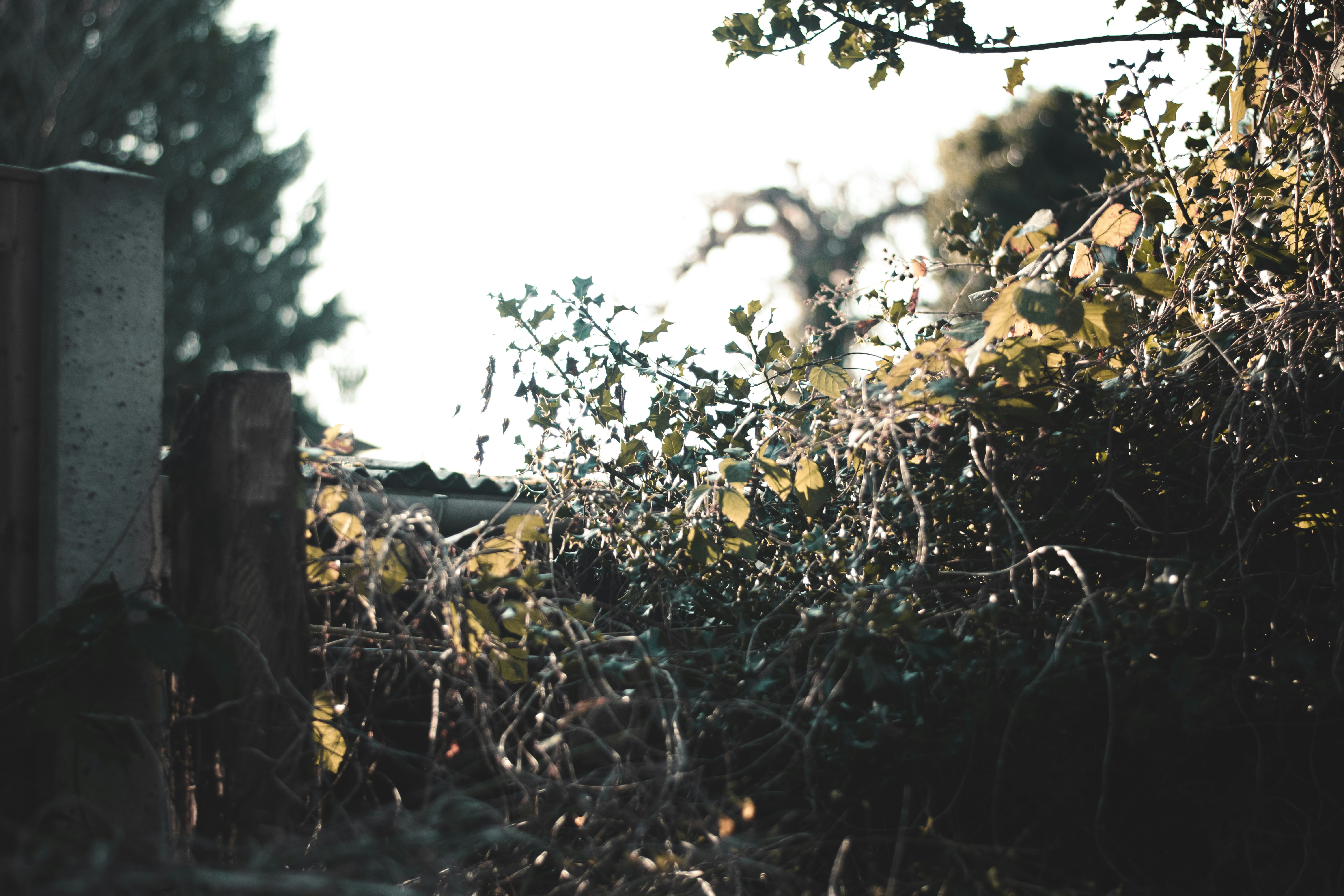 Photo by elliottmason