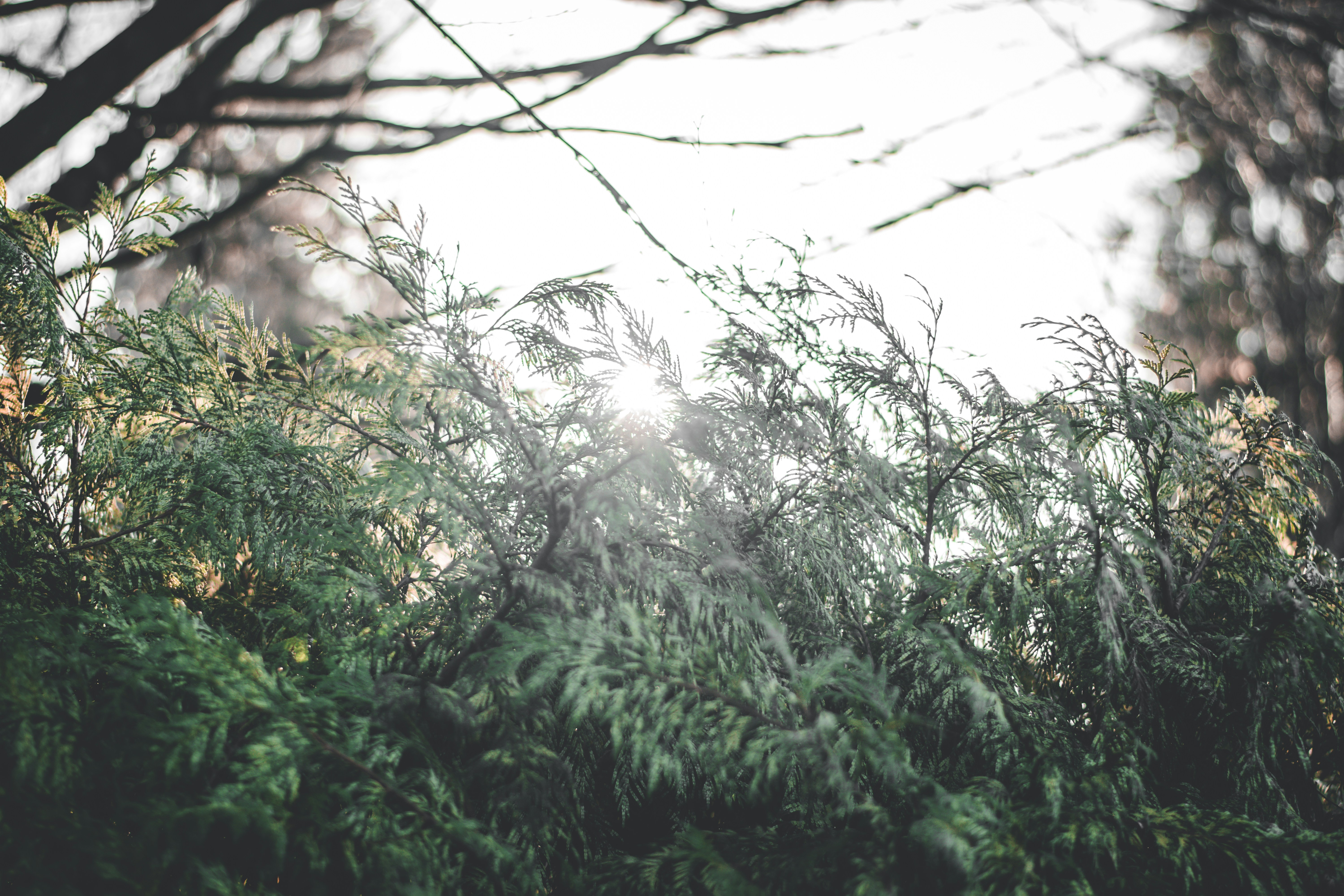 Photo by elliottmason