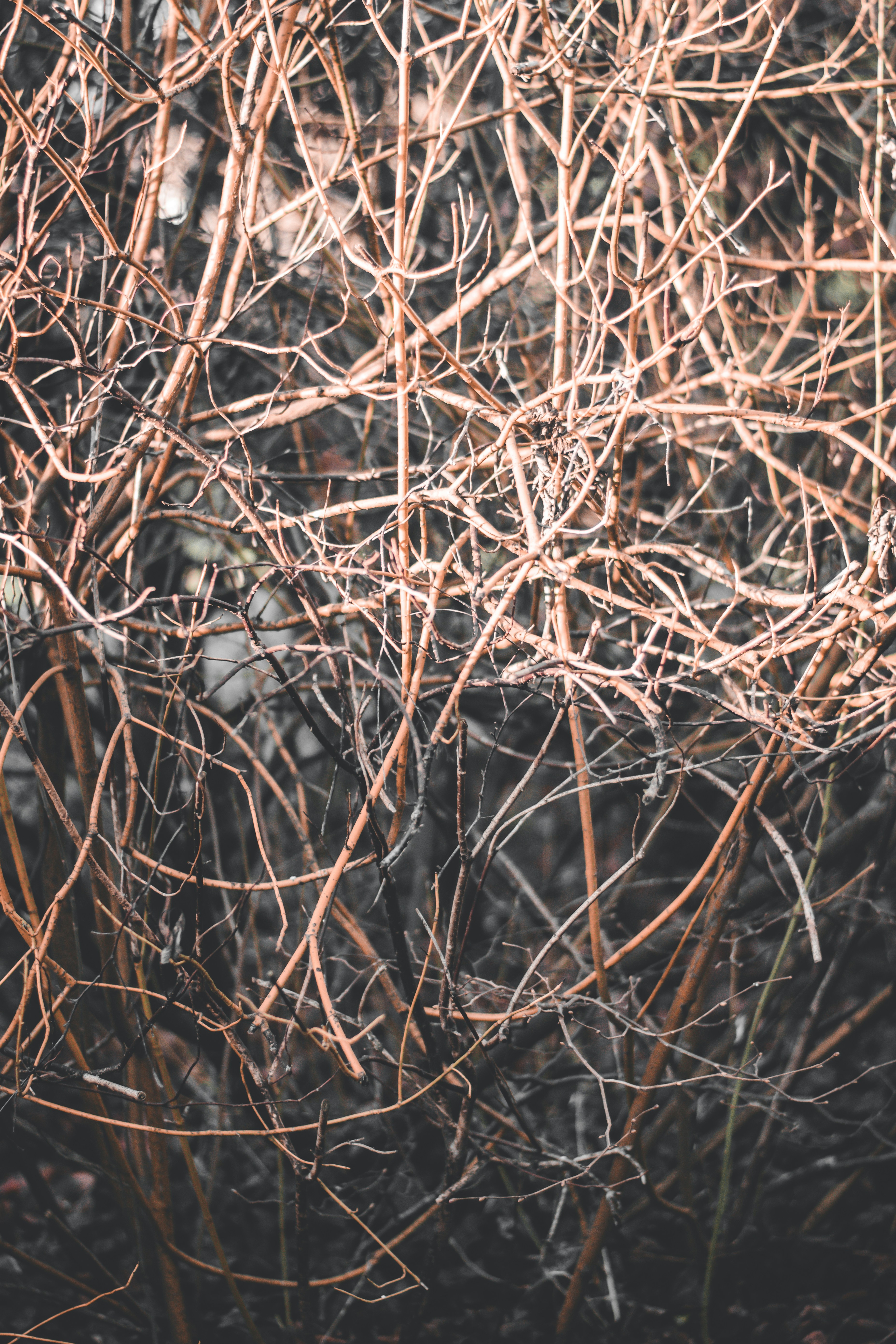 Photo by elliottmason