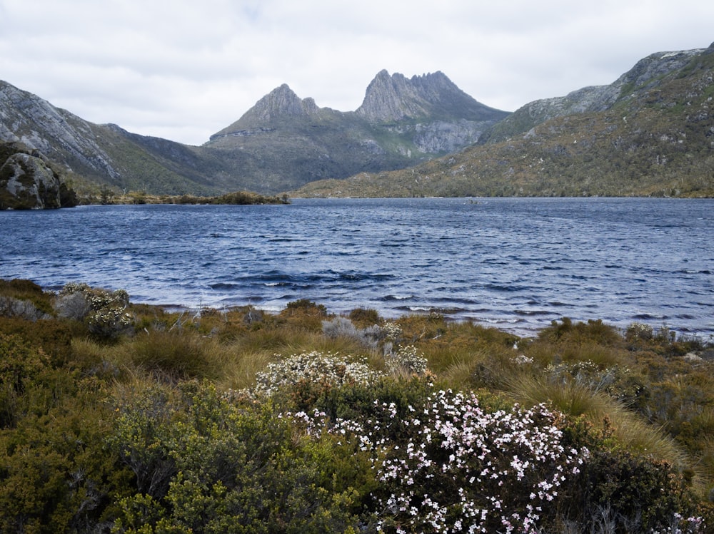 una gran masa de agua rodeada de montañas