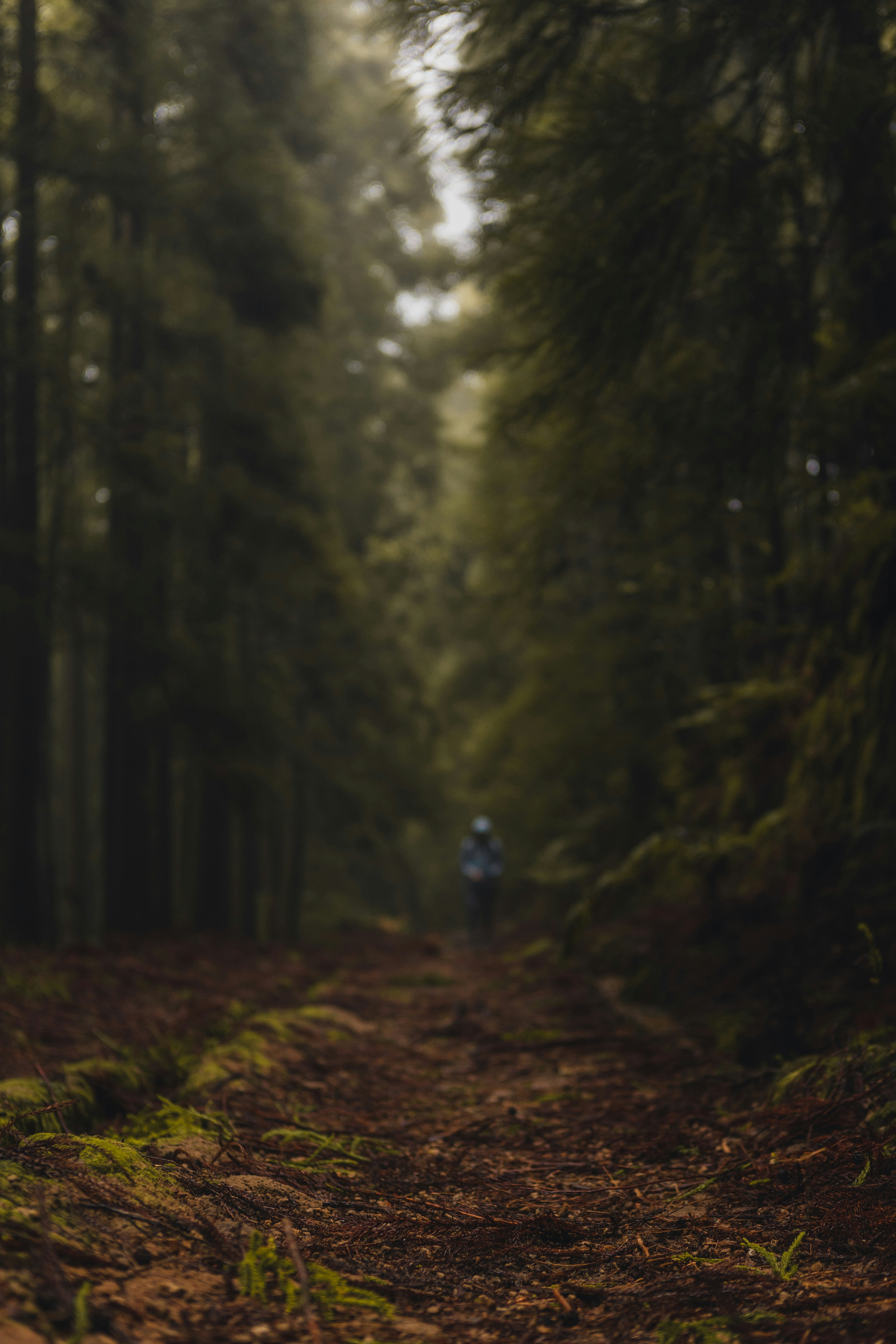 Photo by alex_gruber