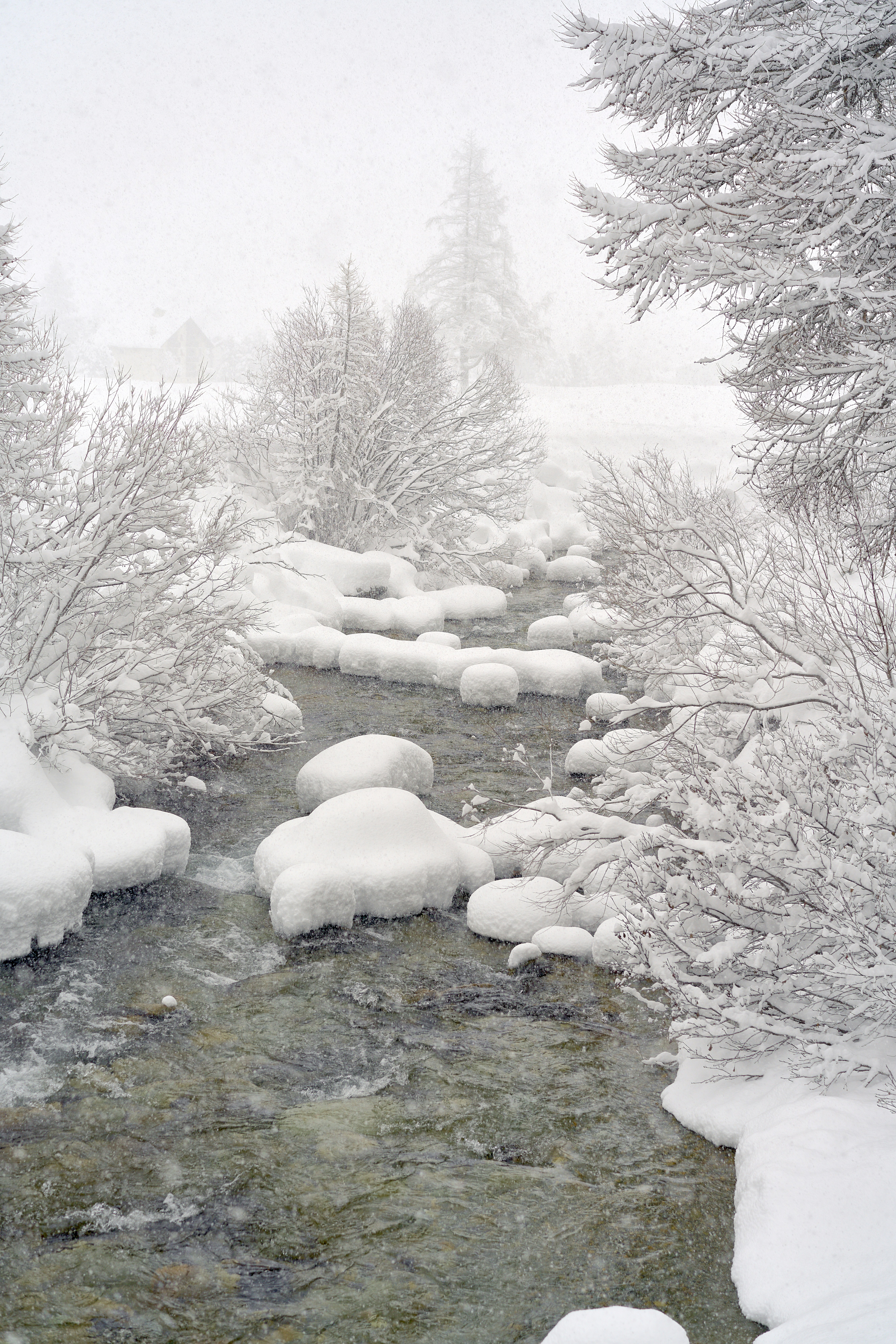 a pile of snow