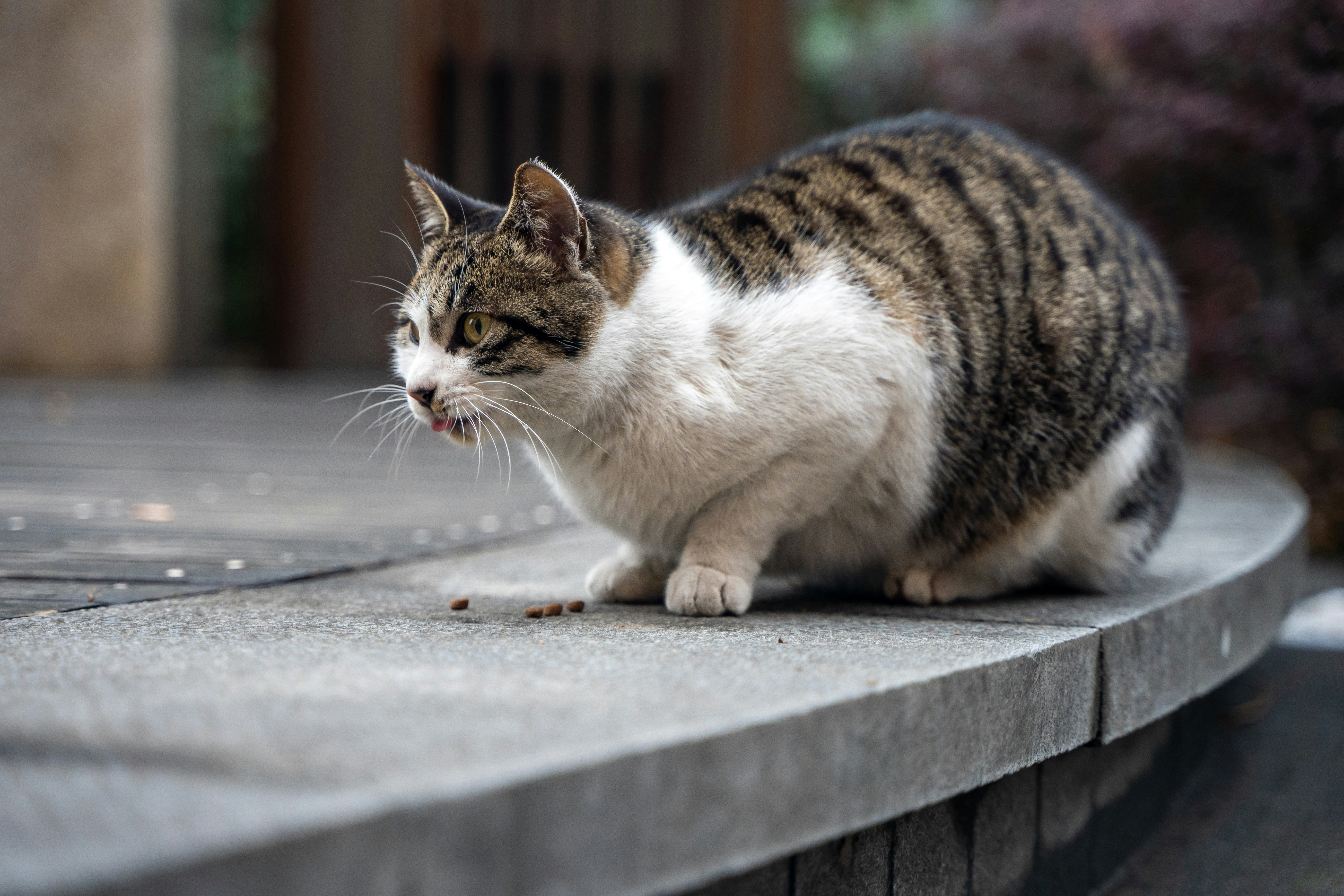 Photo by yooho962464