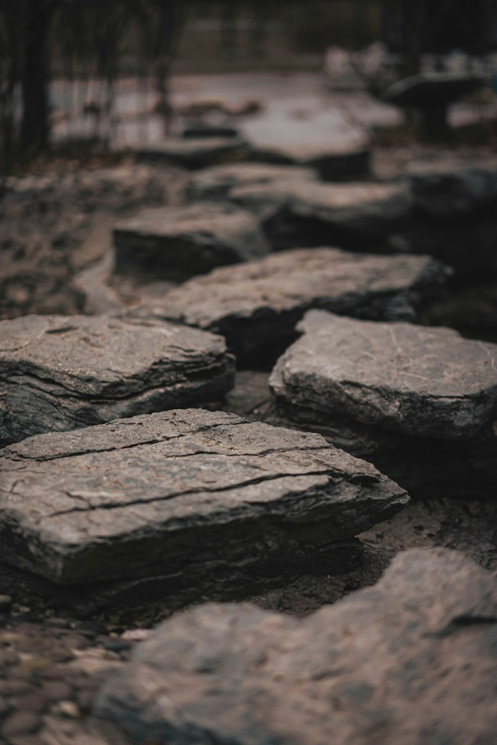 a bunch of rocks that are laying on the ground