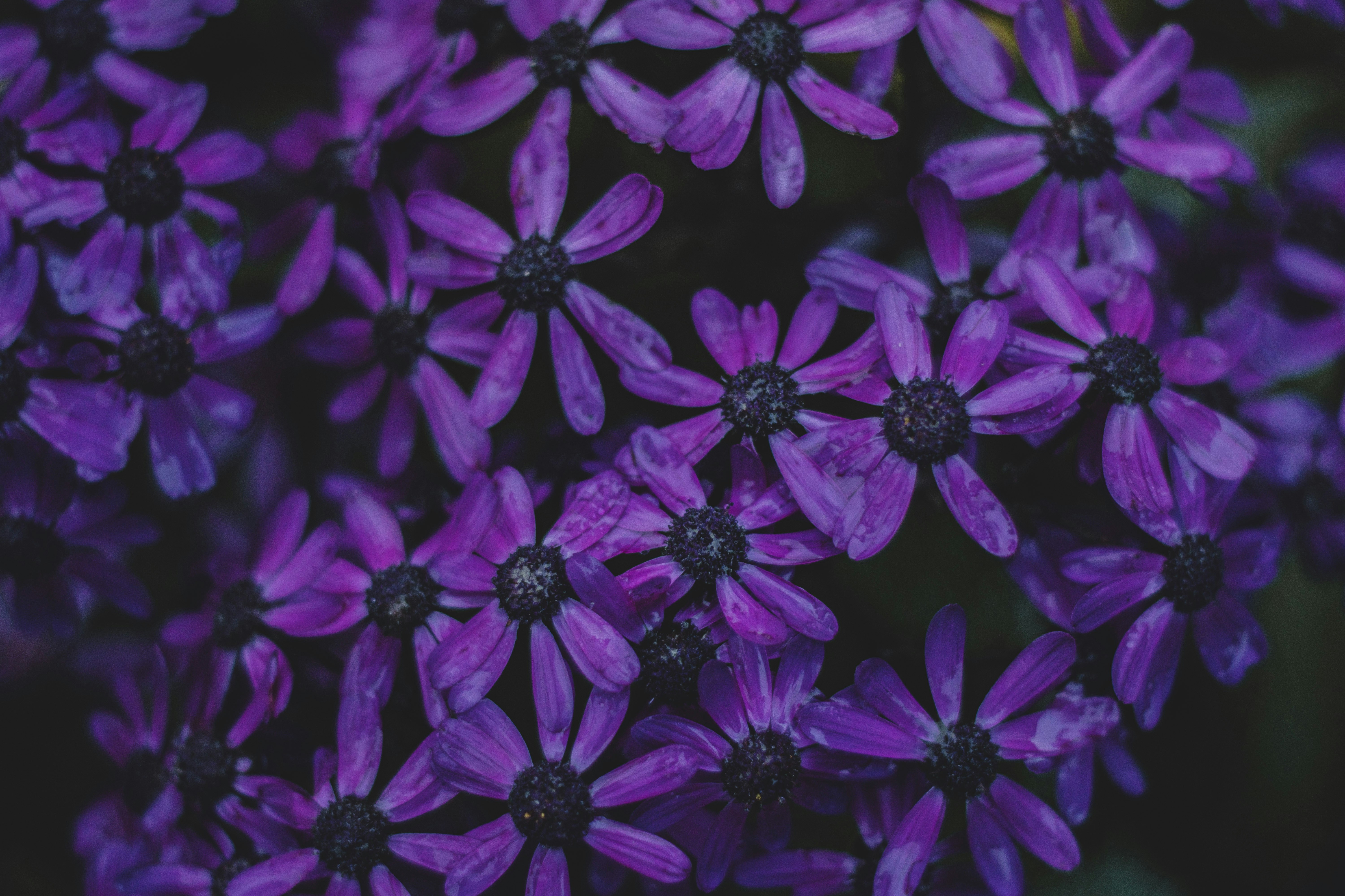 Photo by miekelauren