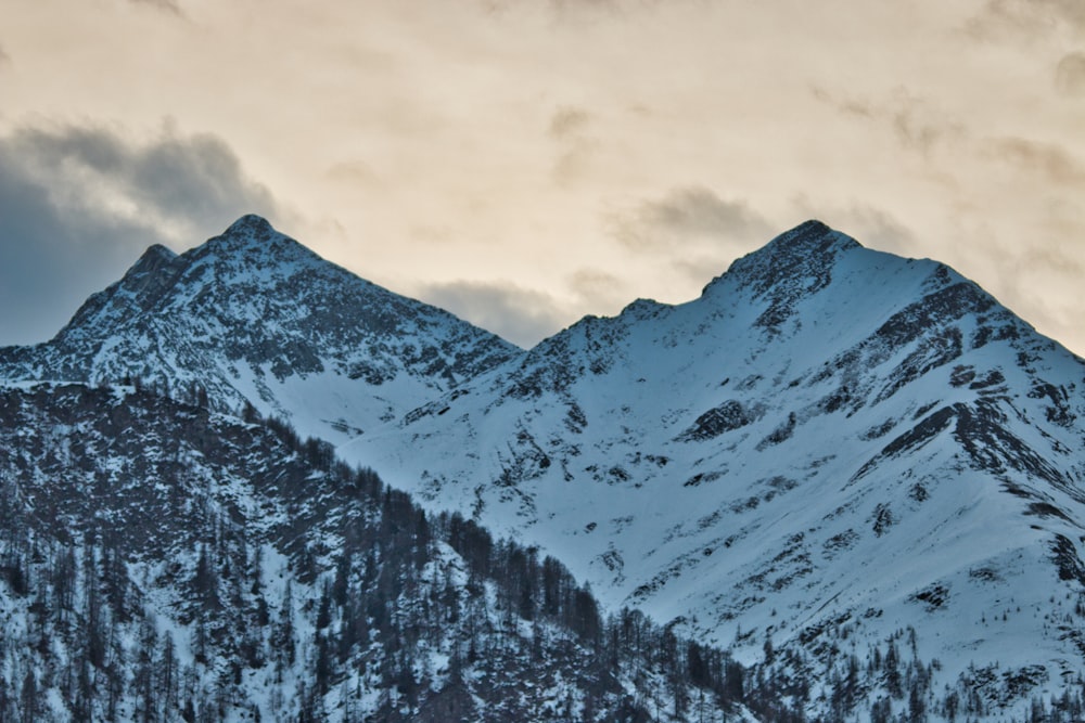 a group of people standing on top of a snow covered mountain