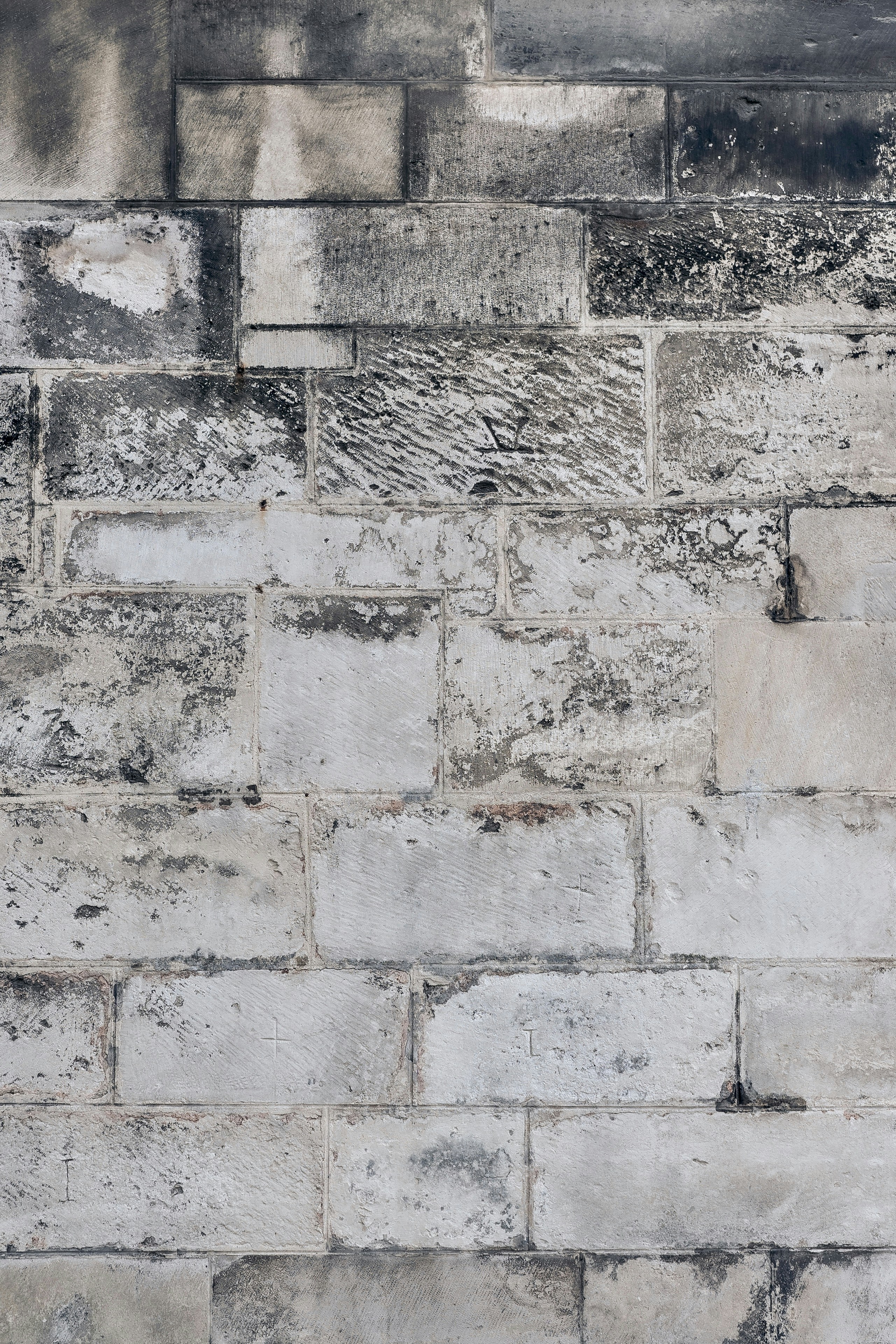 Photo by sinusfiction