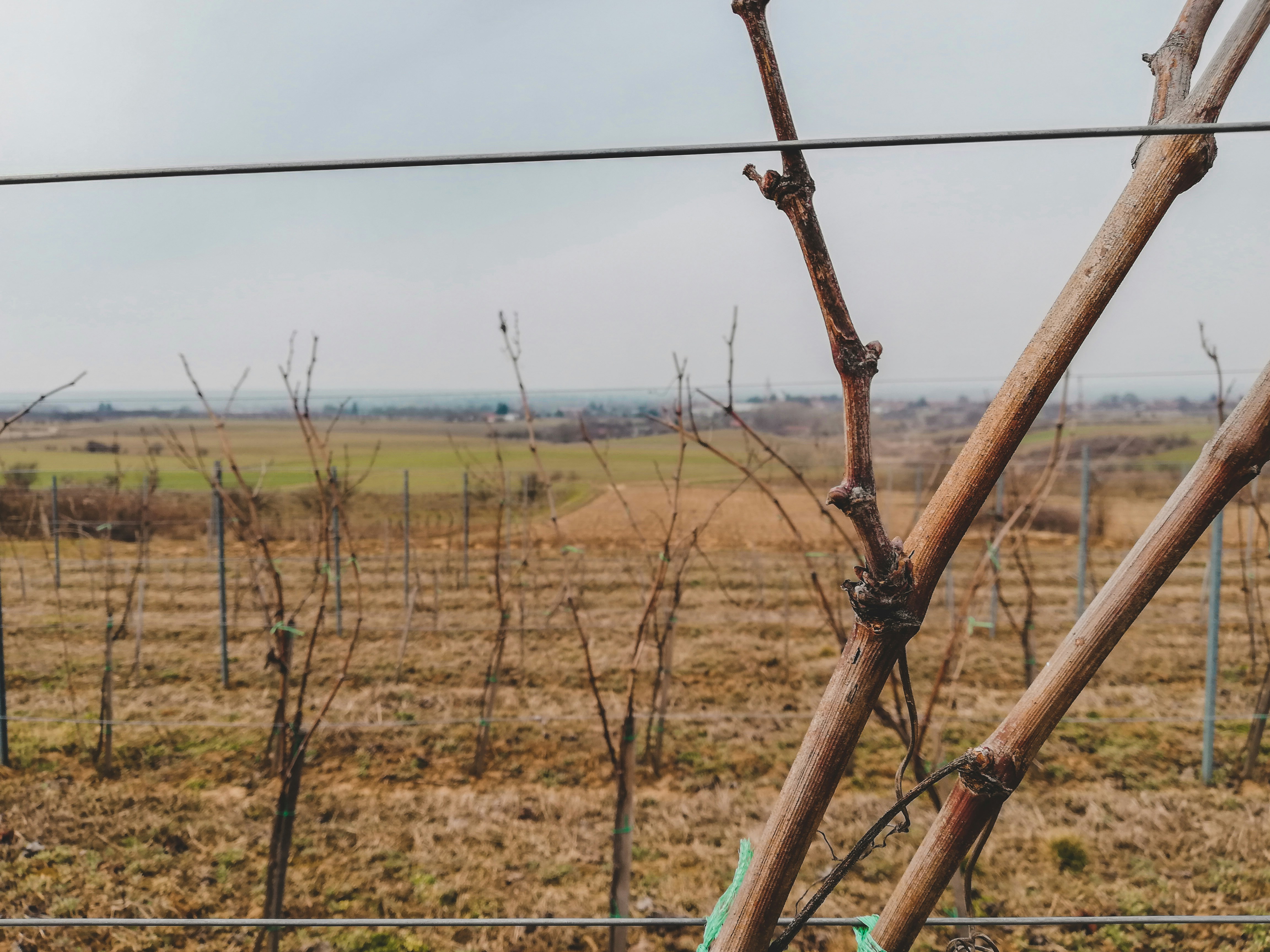 Photo by czapp_arpad