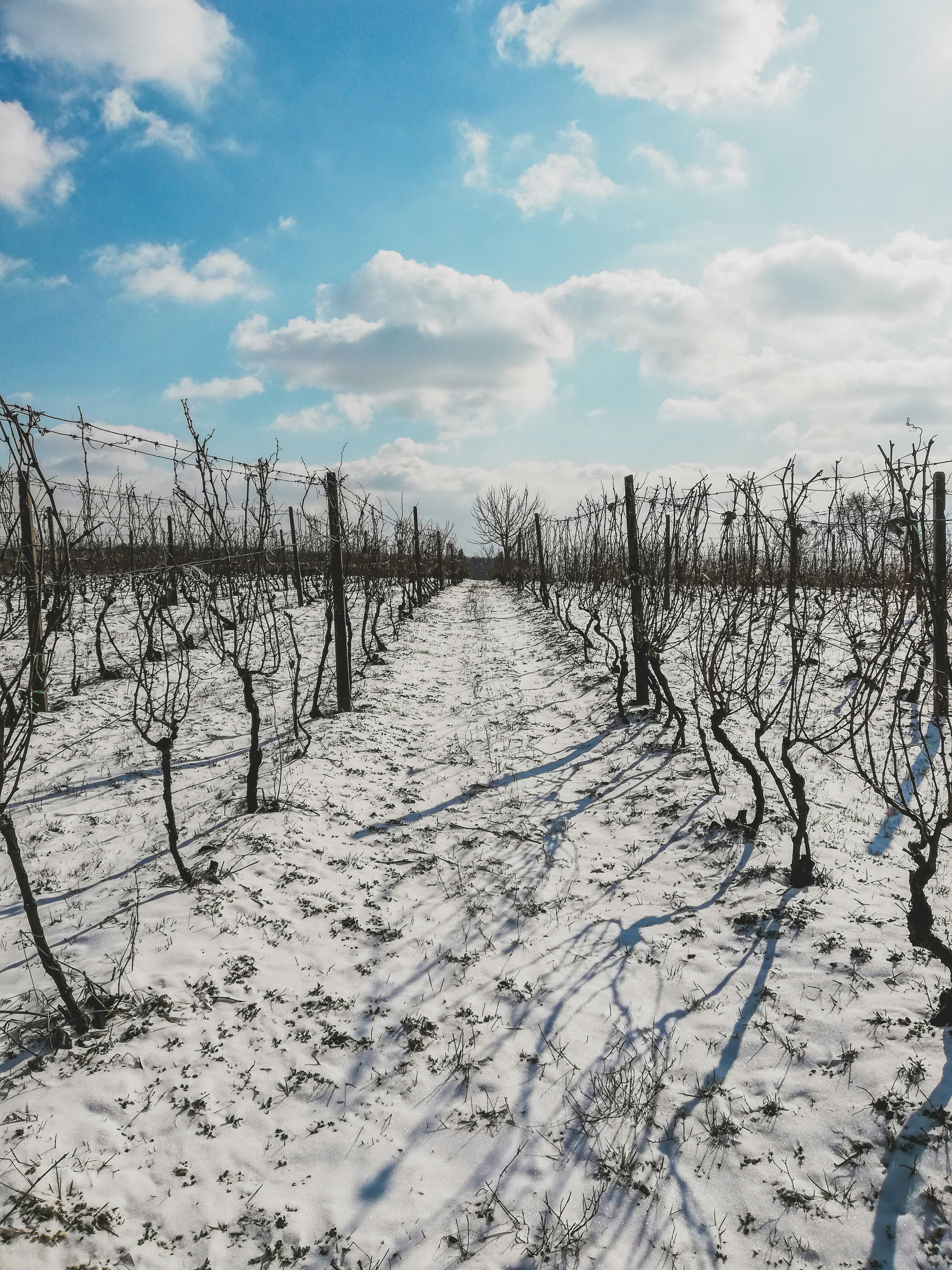 Photo by czapp_arpad