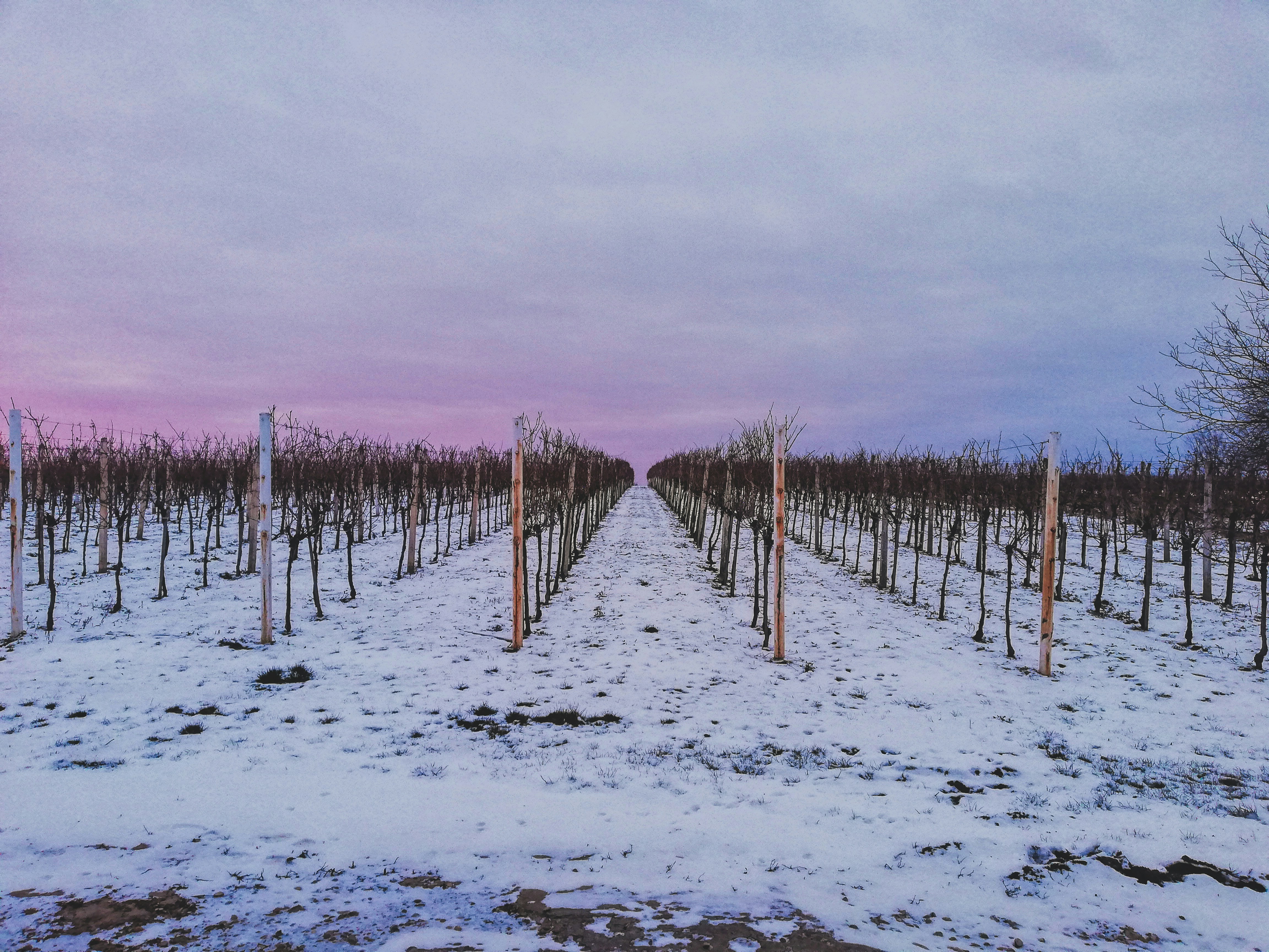 Photo by czapp_arpad