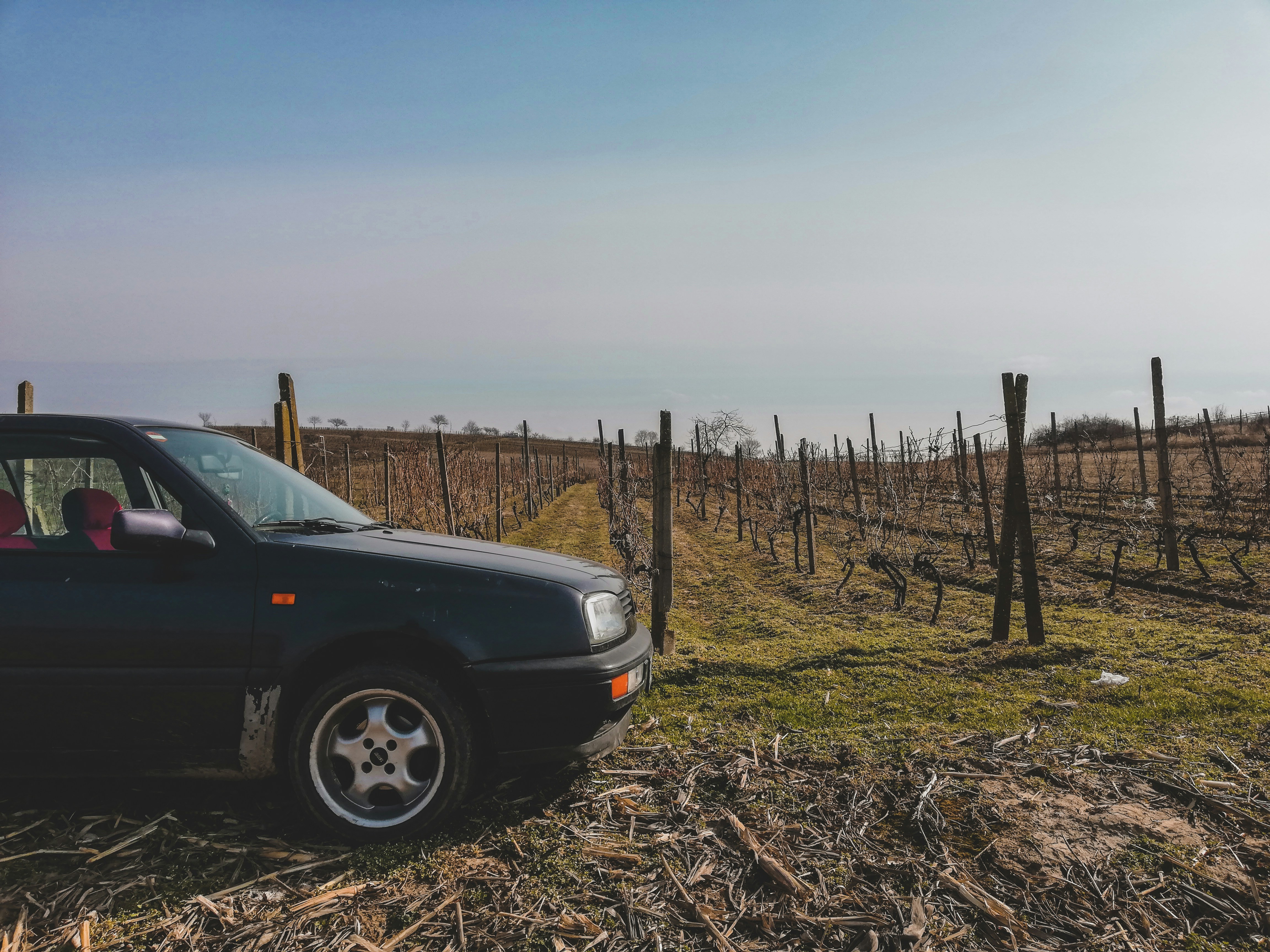 Photo by czapp_arpad