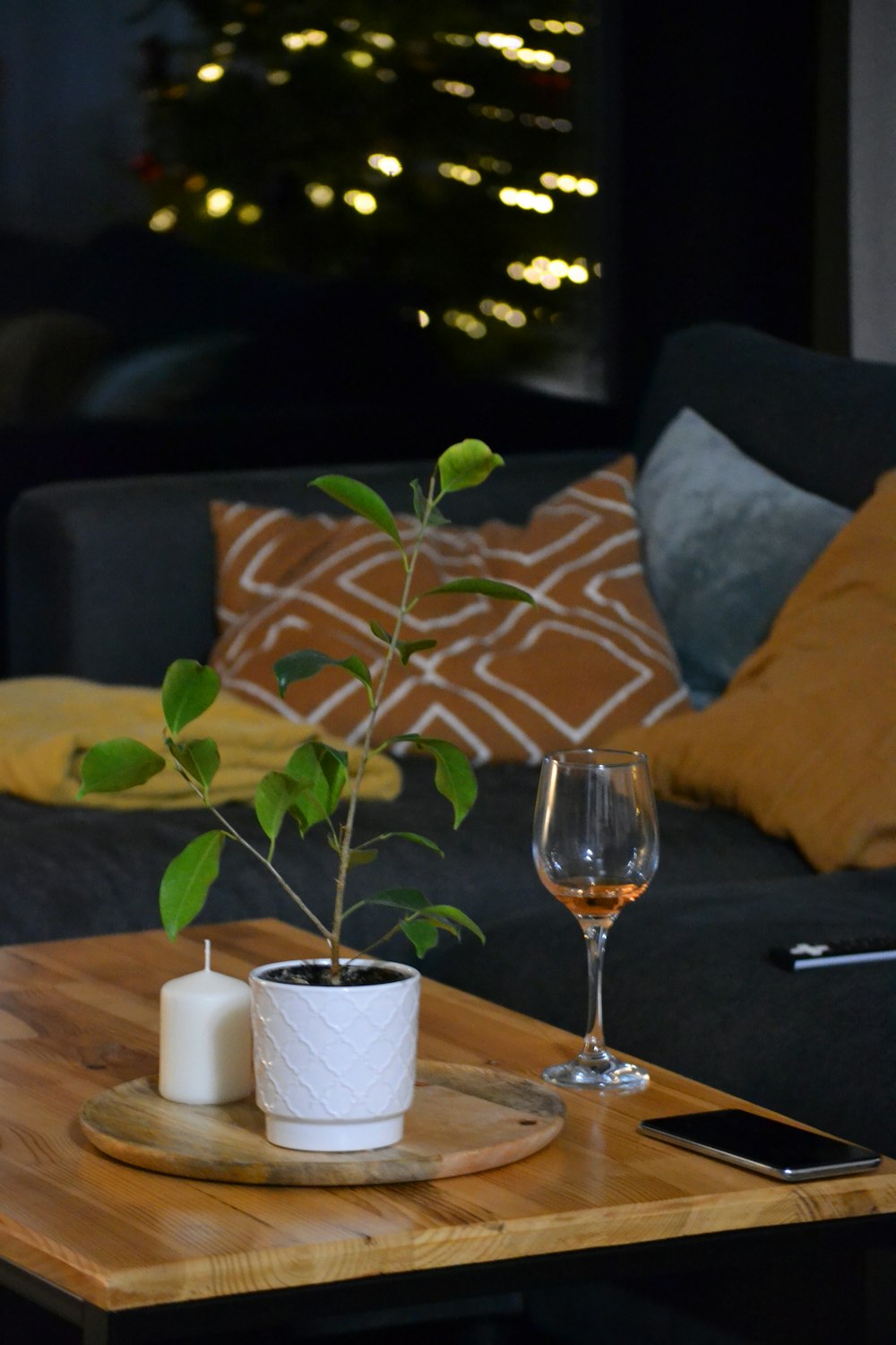 a table with a glass of wine and a plant on it