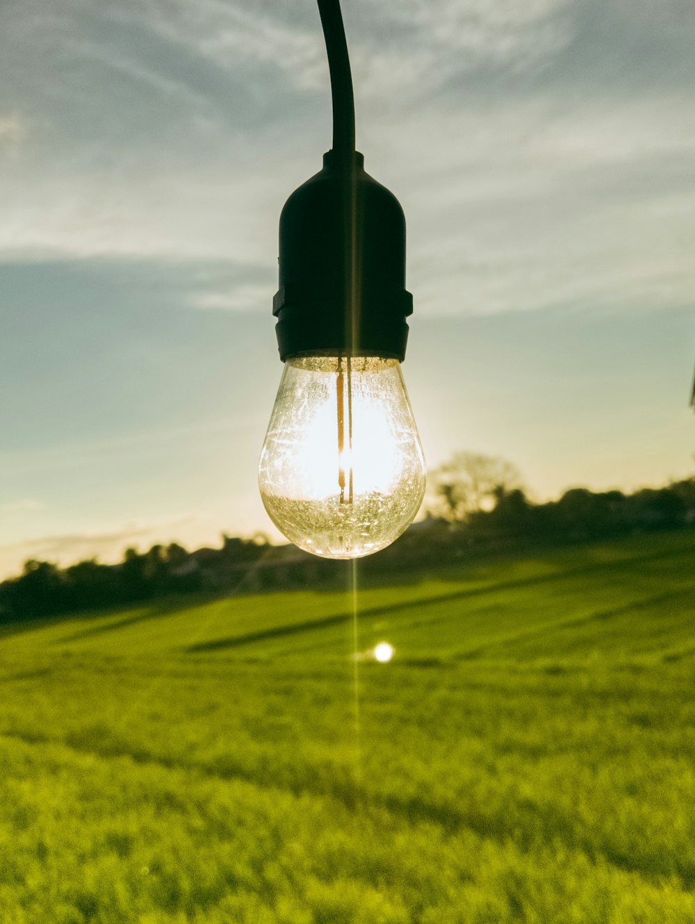 a light bulb hanging from a wire in a field