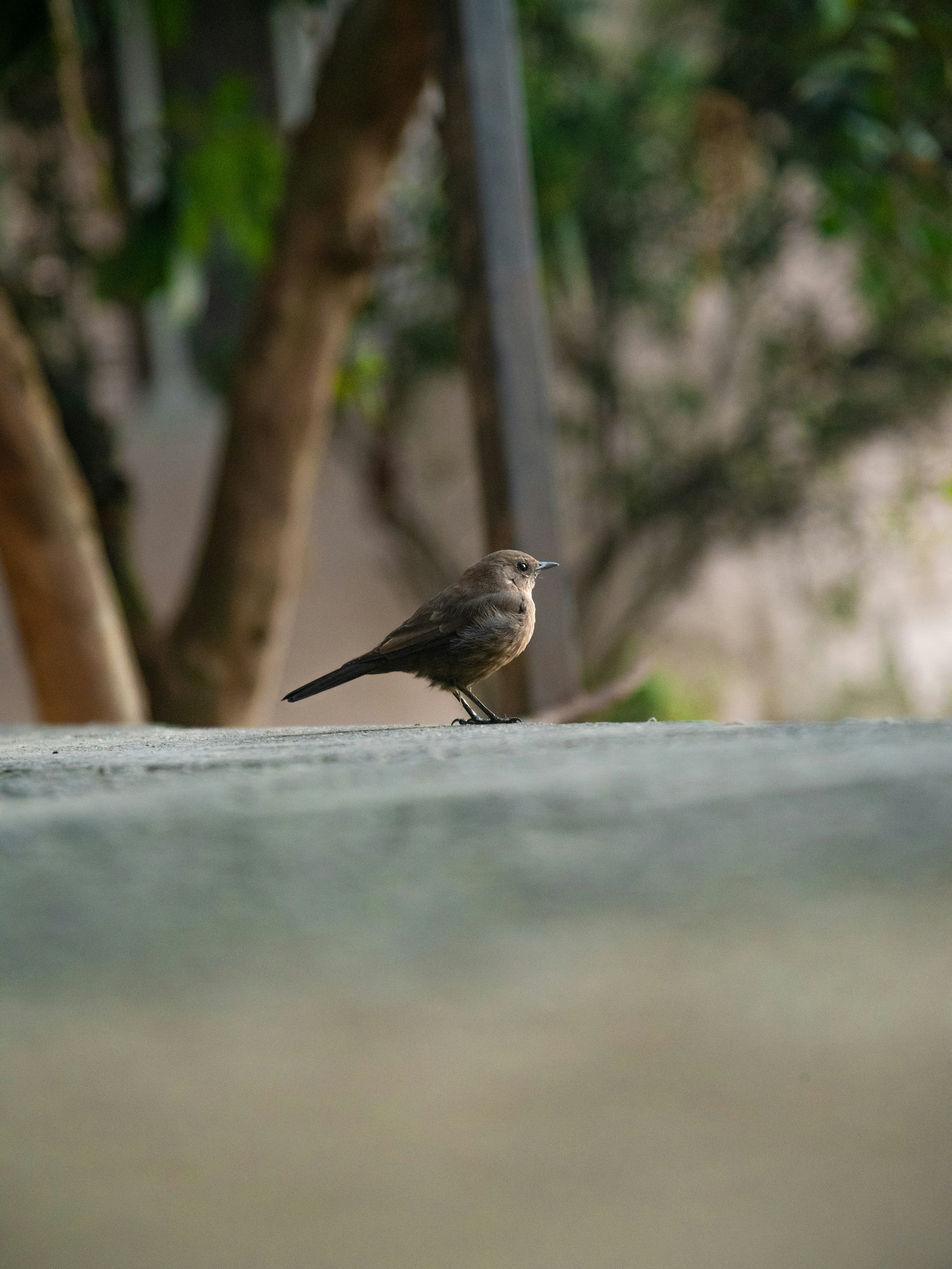 Photo by devang_punia
