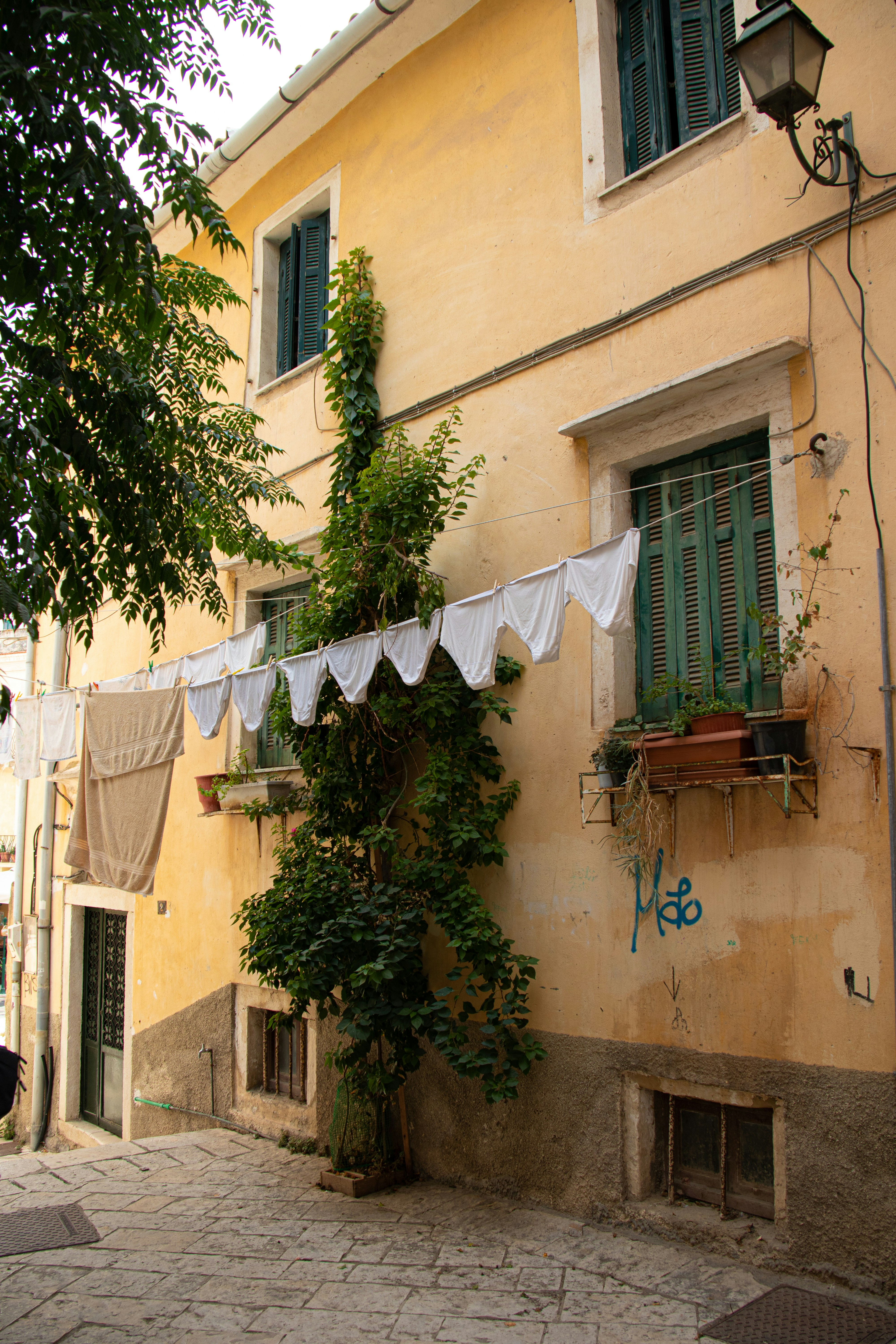 a building with a bunch of plants growing on it