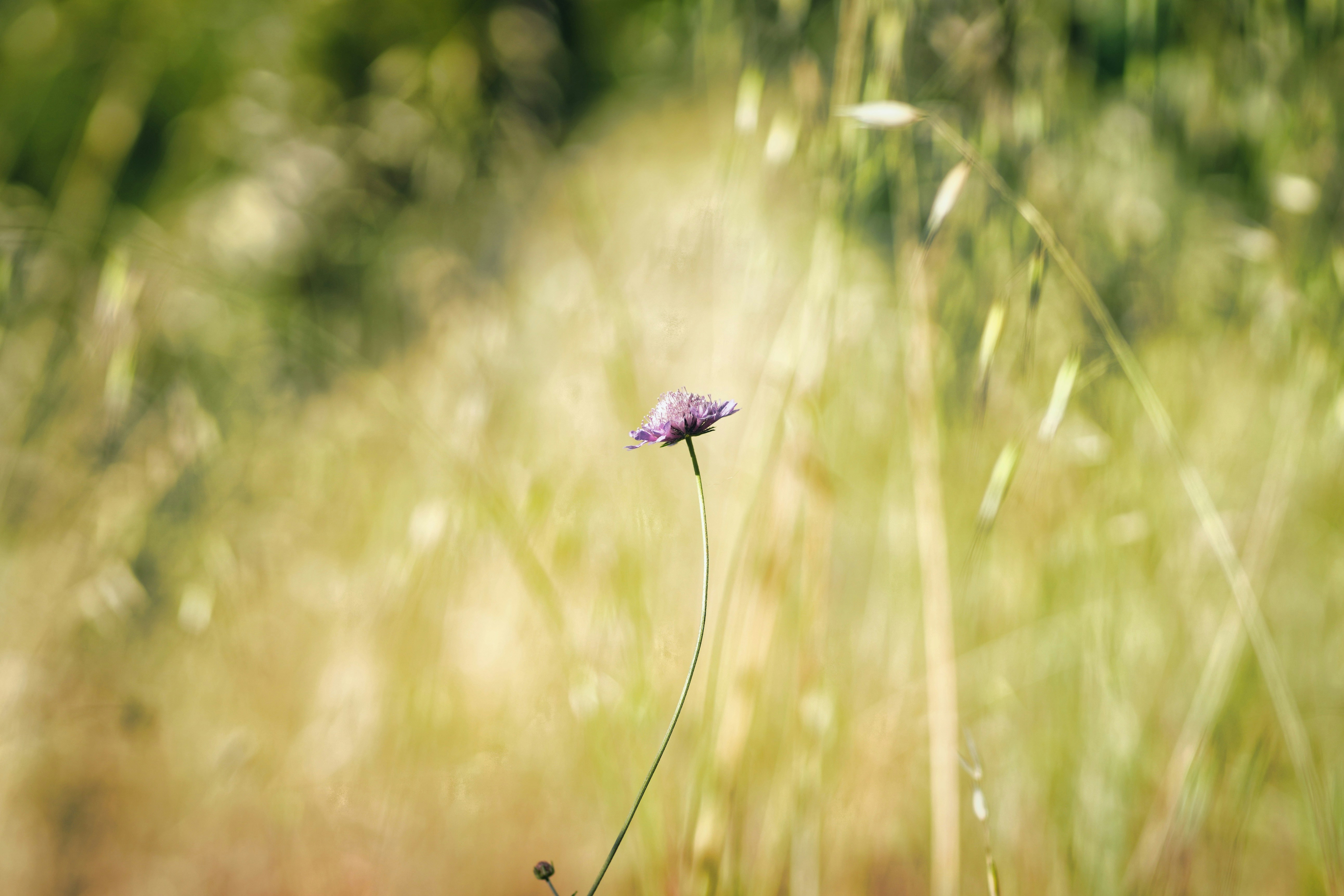 Photo by ravindrarawat2