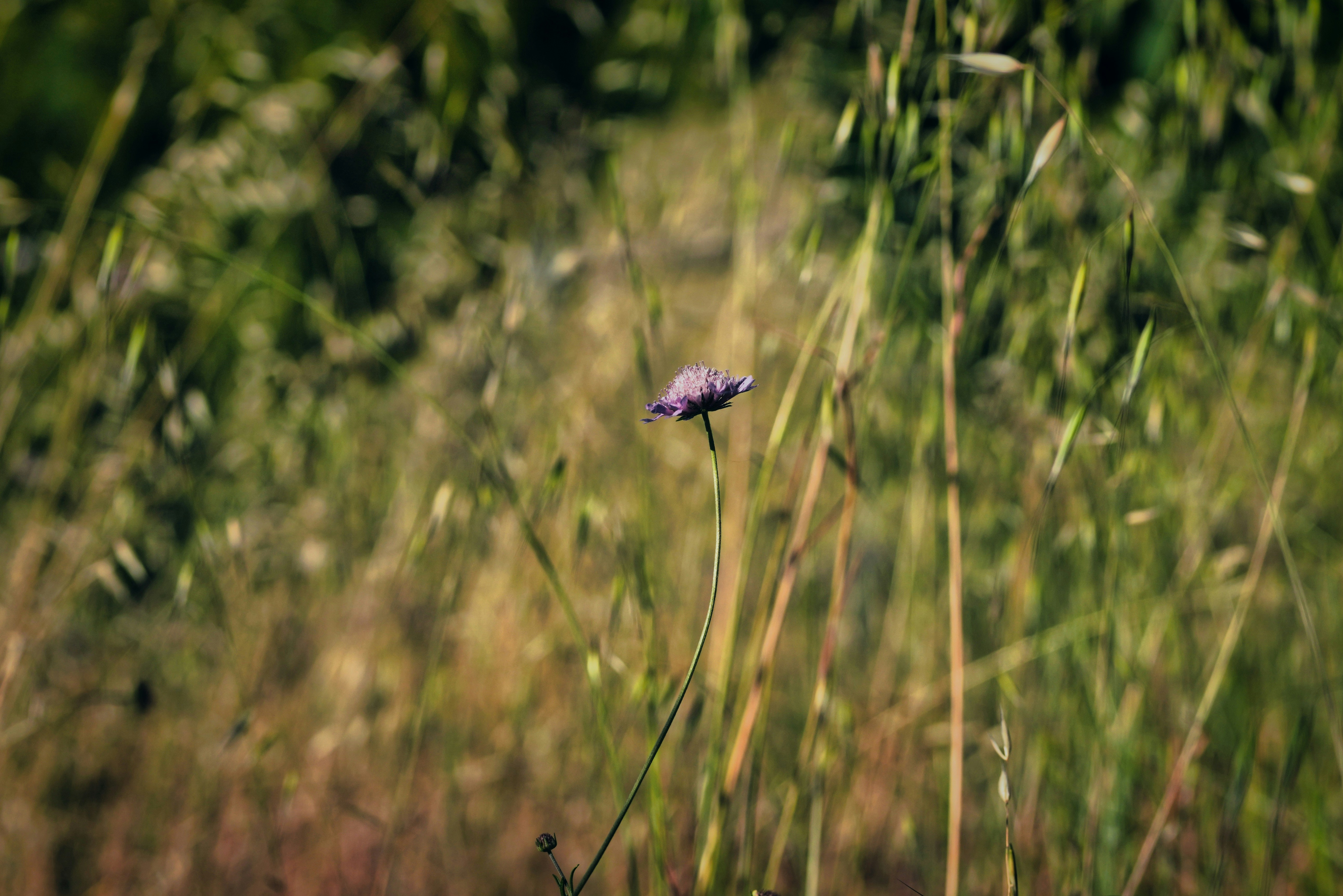 Photo by ravindrarawat2