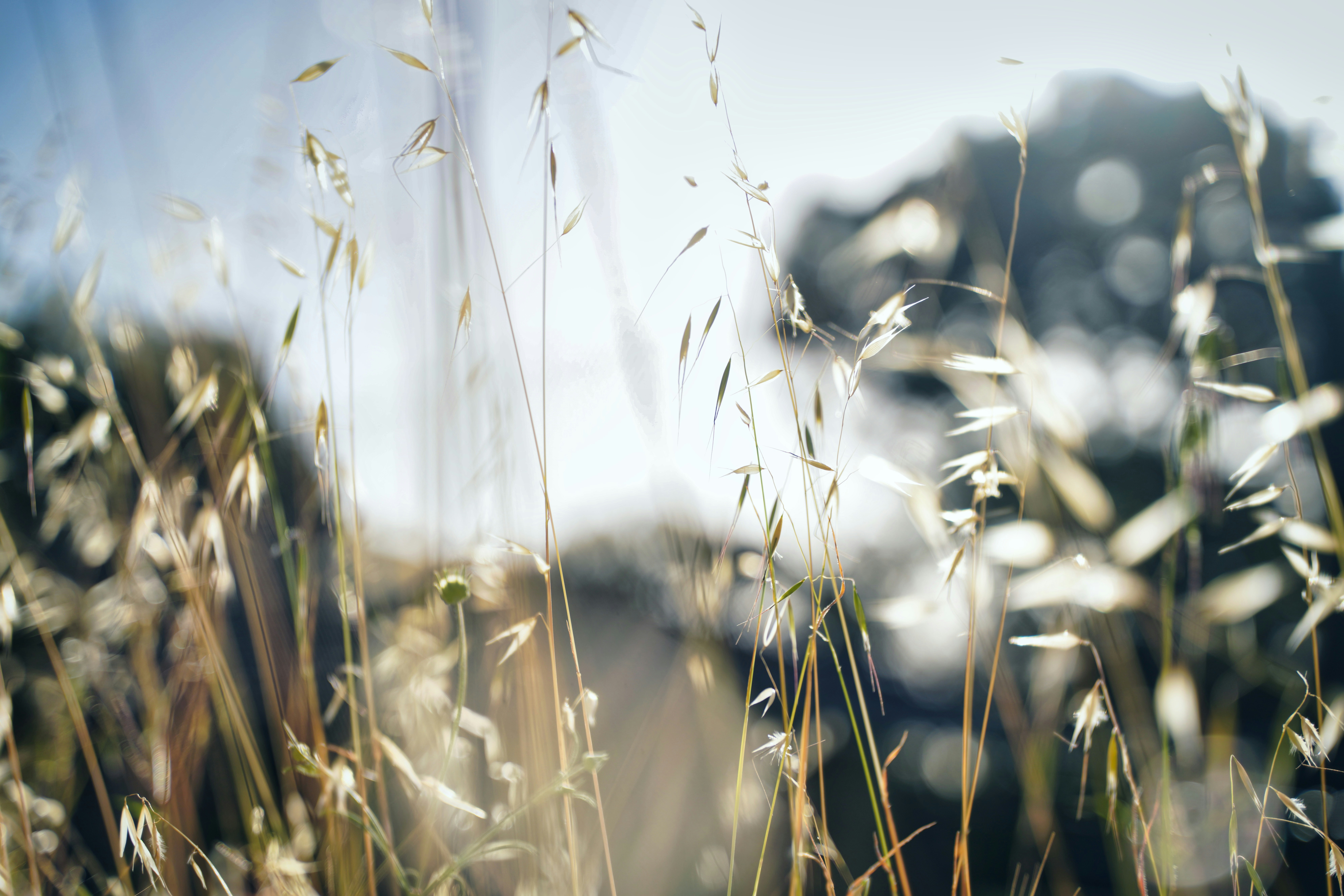 Photo by ravindrarawat2