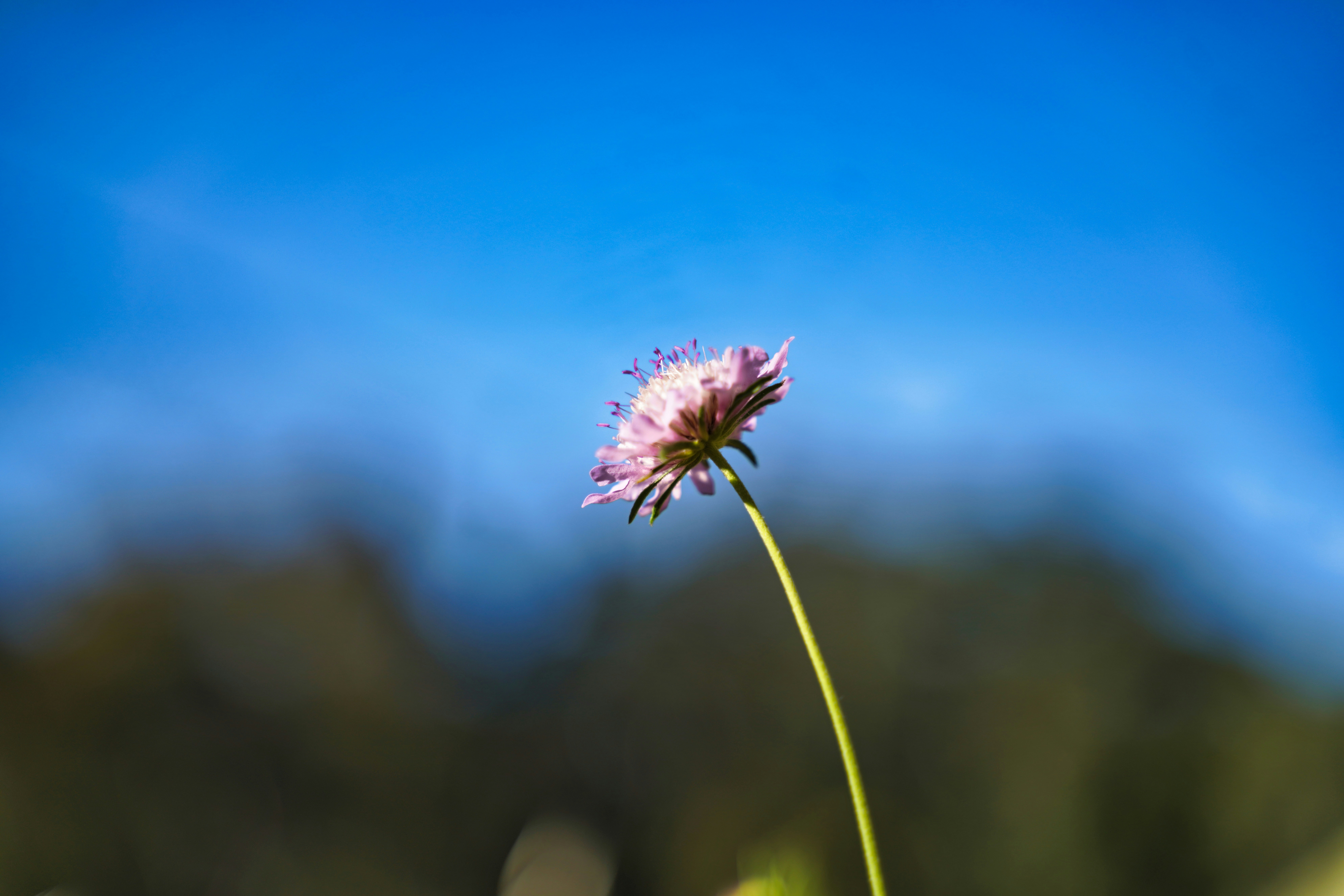 Photo by ravindrarawat2